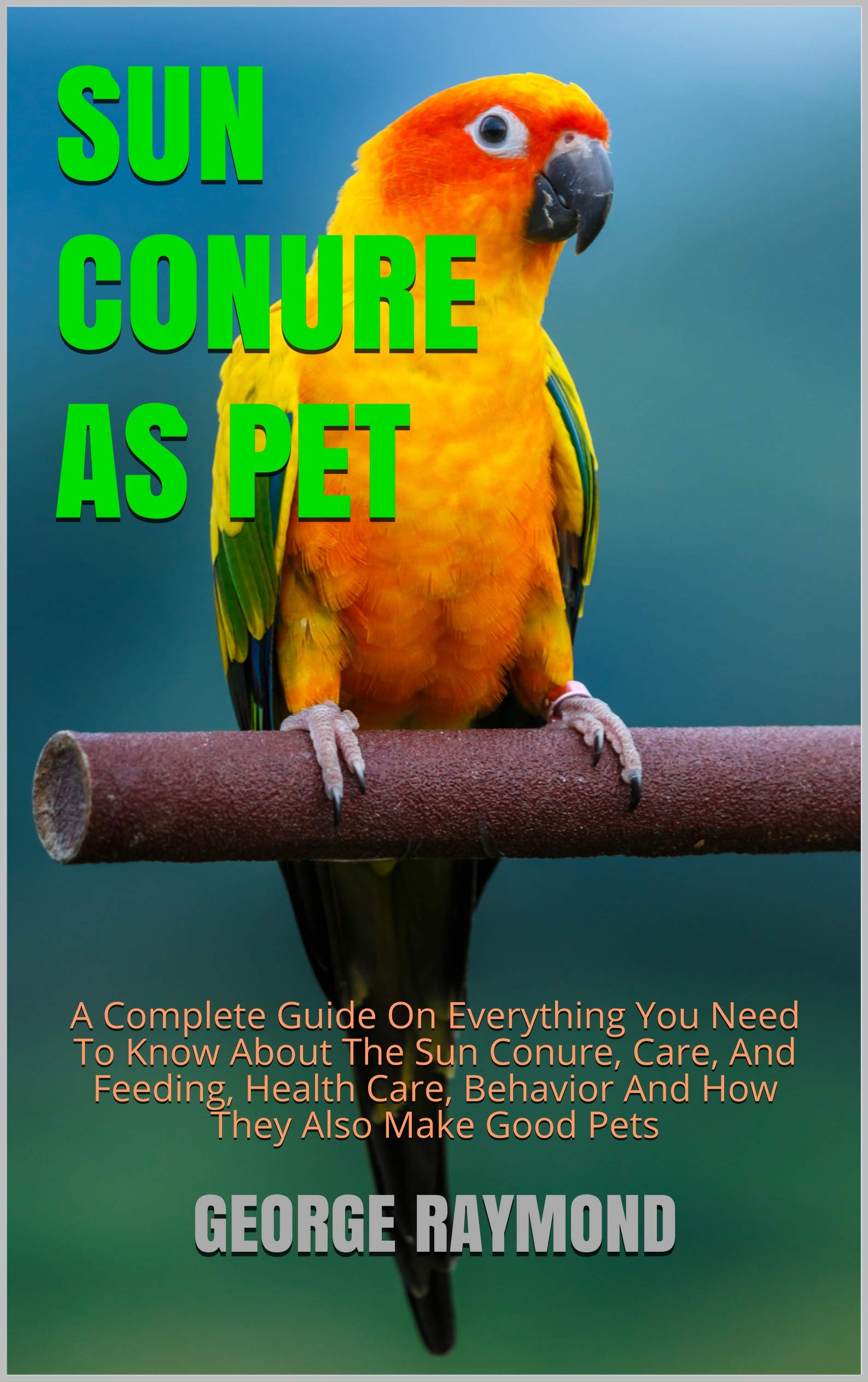 Buy SUN C0NURE AS PET: A Complete Guide On Everything You Need To Know