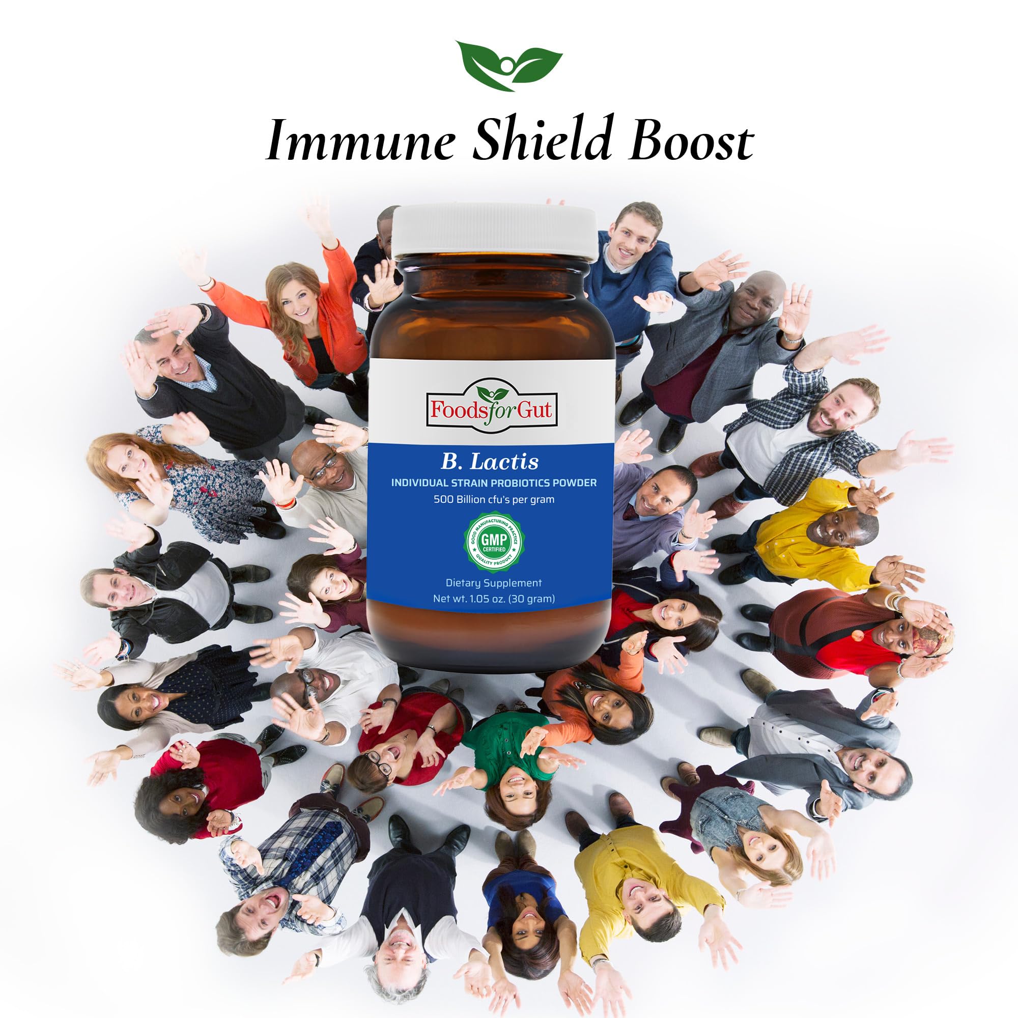 Foods For Gut Bifidobacterium Lactis Probiotic Powder 500 Billion cfu's | Made in USA | No Additives | Digestive & Immune Support | High Potency | B. Lactis | 30 Grams (1.05 Oz)