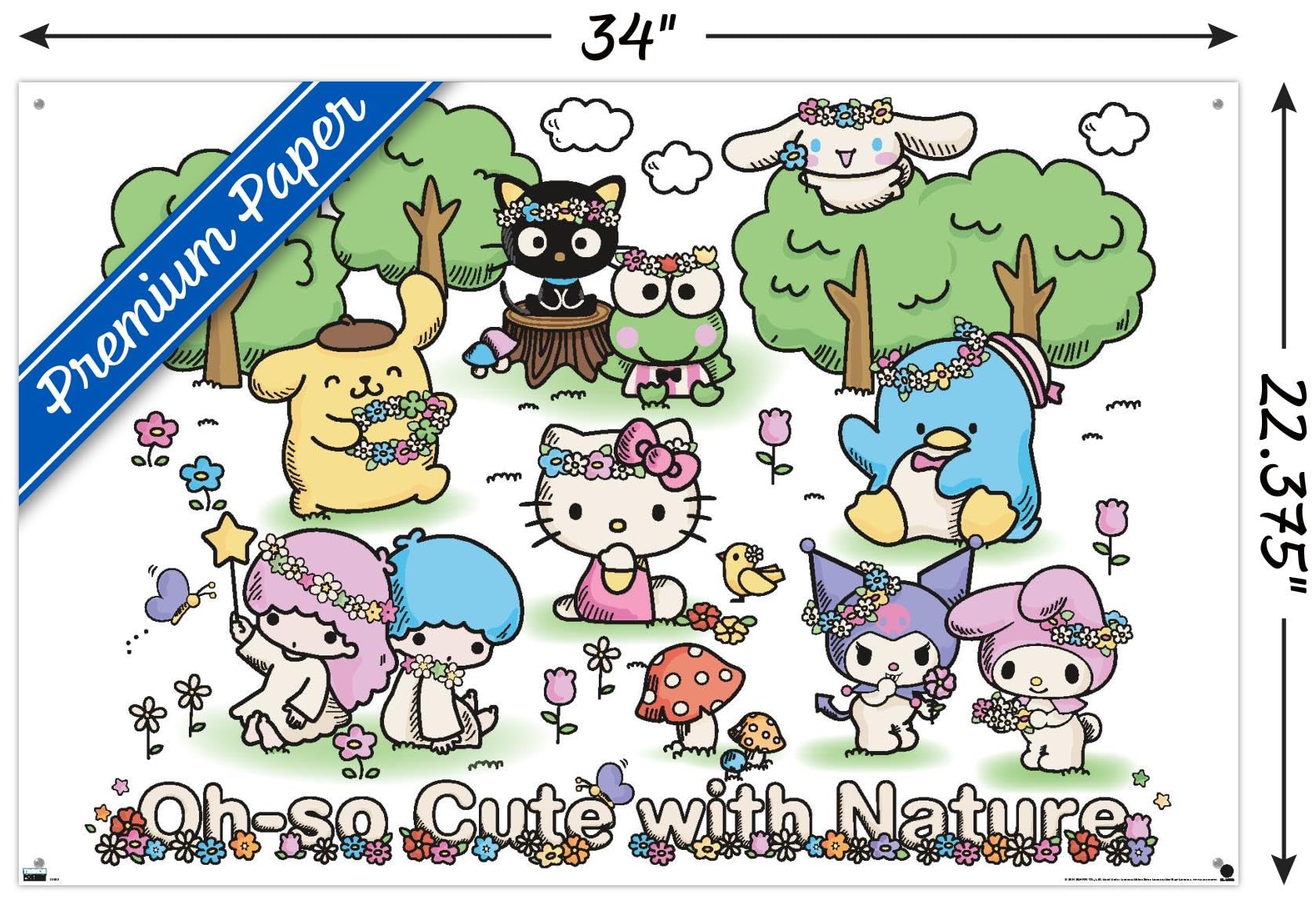 Amazon.com: Hello Kitty and Friends: 24 Nature - Group Wall Poster