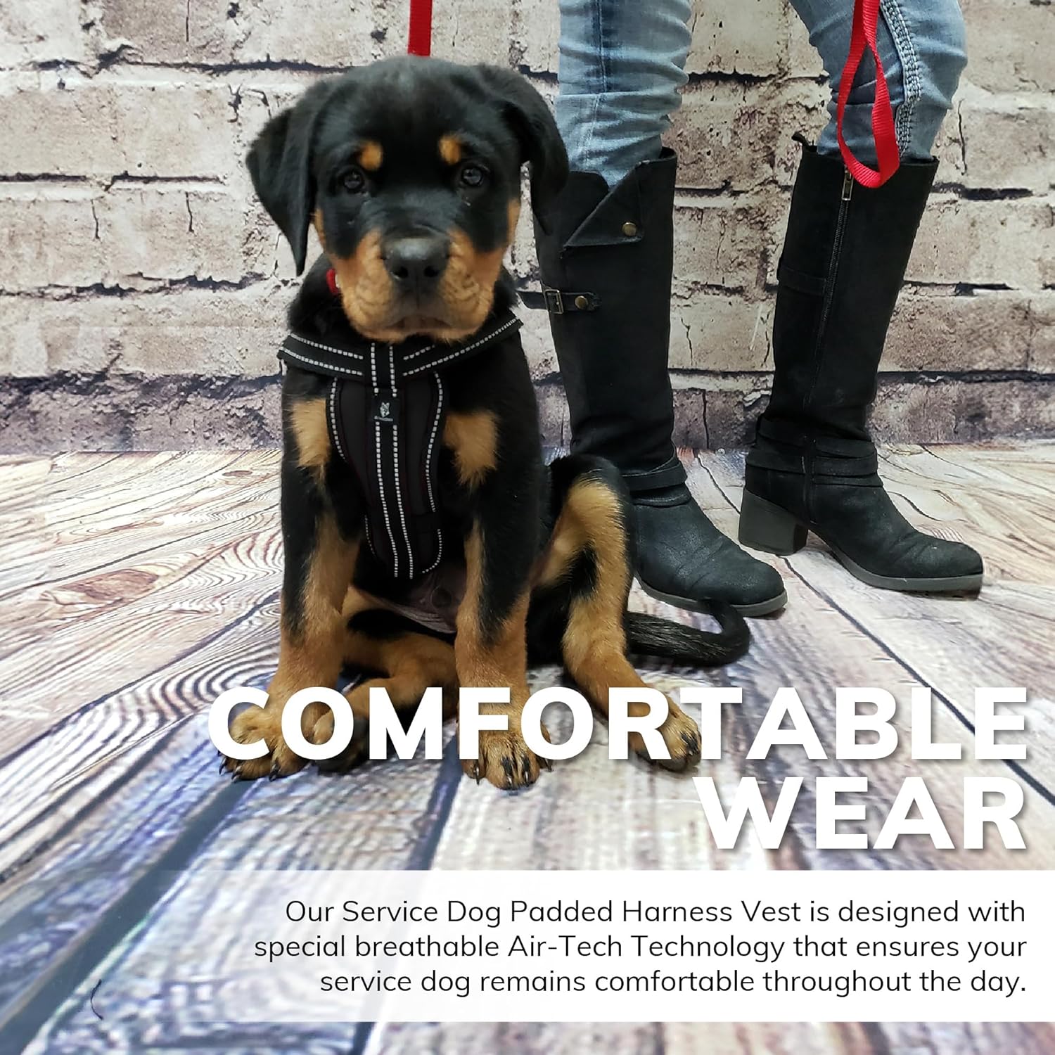 ActiveDogs Padded Air-Tech Dog Harness - Reflective Service Vest for Large Dogs, Medium Size, Girth 22"-30", Black