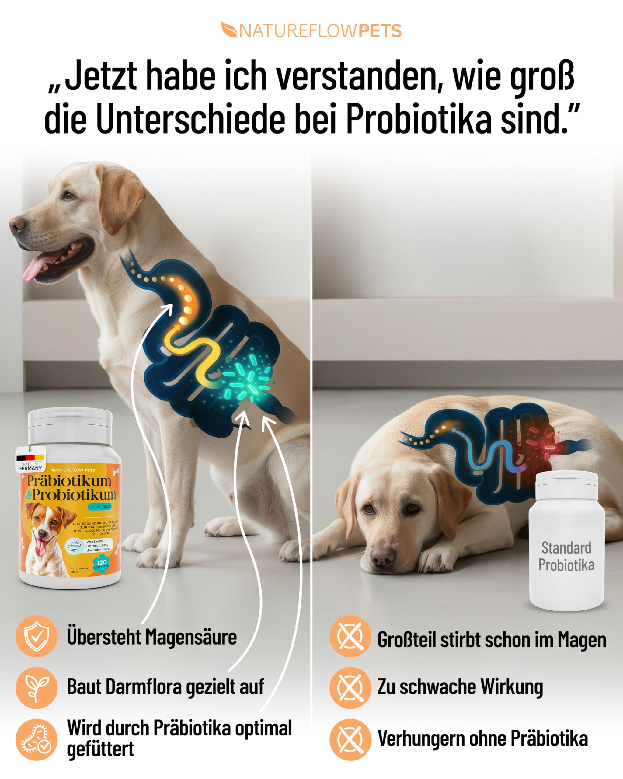 Natureflow Pets - Probiotika Hund - Darmkur bei Durchfall, Blähungen & Sodbrennen - Darmflora aufbauen & Magen-Darm stärken Präbiotika für Hunde - Magenschutz & Darmwohl mit Präbiotikum