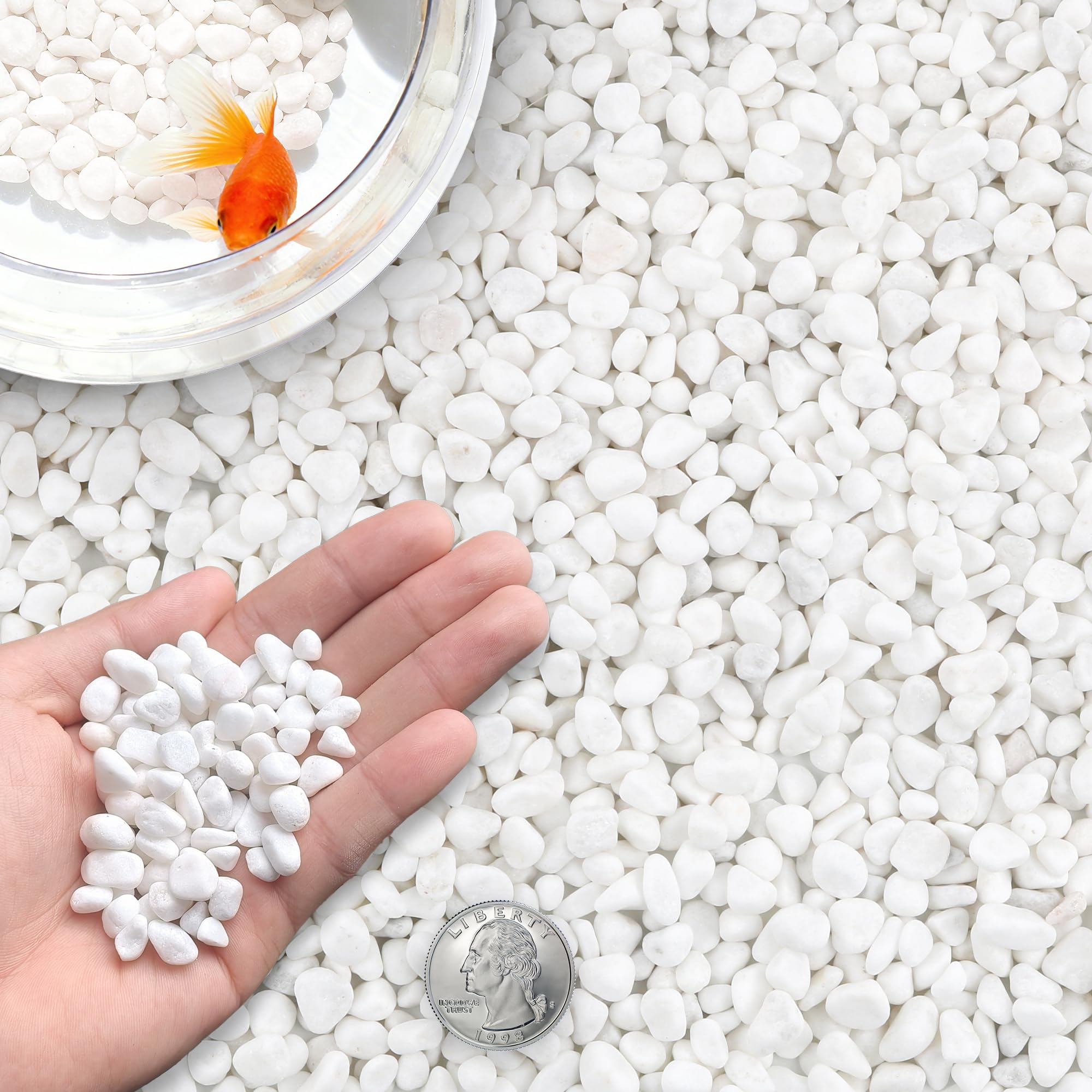 Białe kamienie dekoracyjne 18 IB (8,2 kg), 12-15 mm, naturalne białe kamienie do ogrodu, wazonów, akwarium i dekoracji zewnętrznej, żwirek ozdobny, biały, kamienie ogrodowe, kamienie