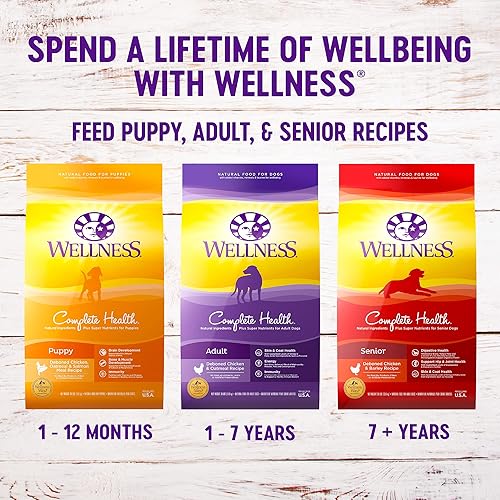 Miniatura 5 de Wellness Complete Health - Paquete de alimentos secos y húmedos para perros: alimento seco natural con granos saludables, pollo y avena, bolsa de 5