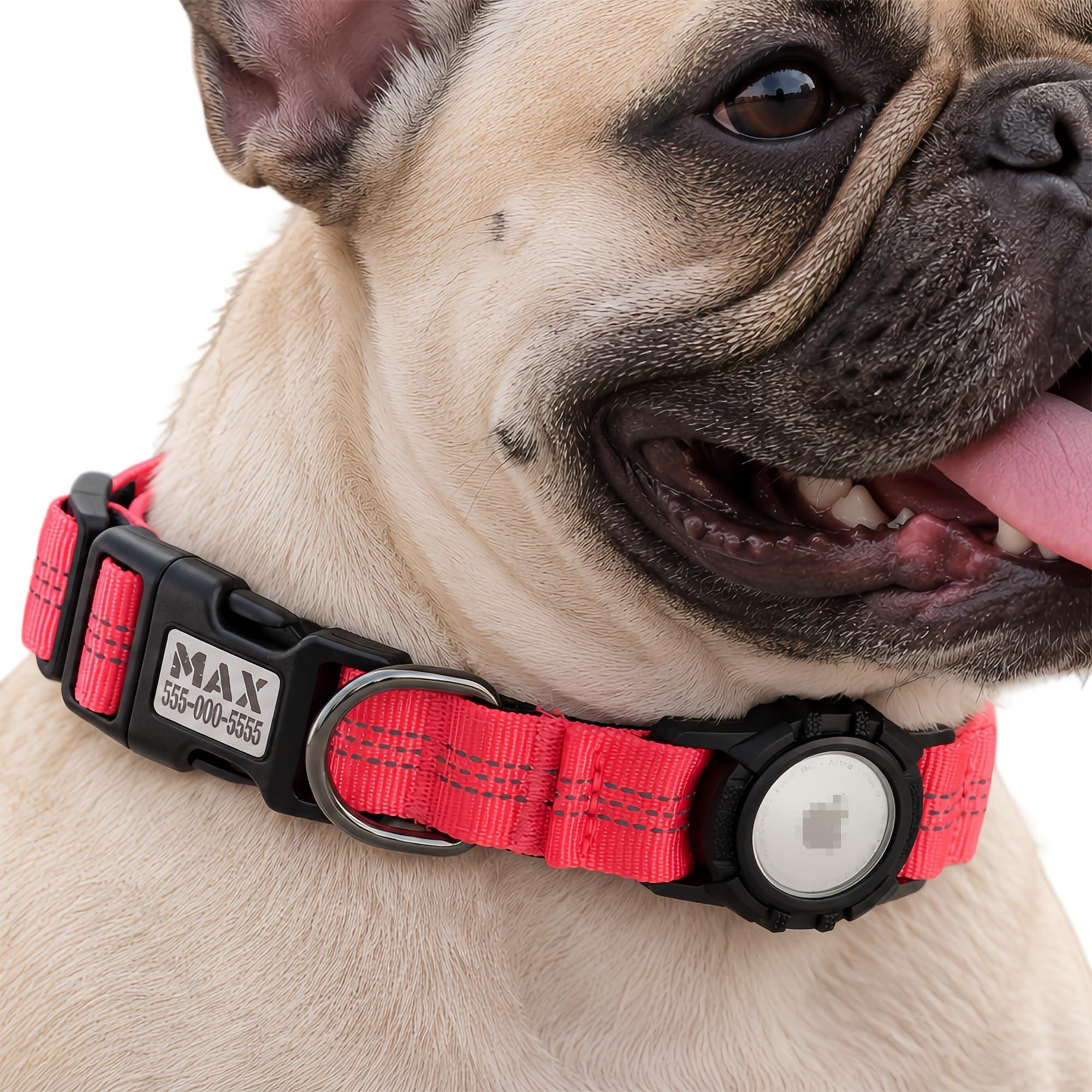 CEMULA Personalised Nylon Dog Collar Compatible with Apple AirTag — image 1