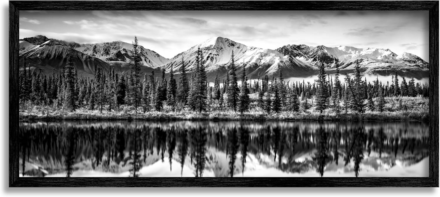 Stupell Industries Monochrome Lake Reflection Framed Giclee Art by Daniel Sproul 30L" x 13W" Black Framed