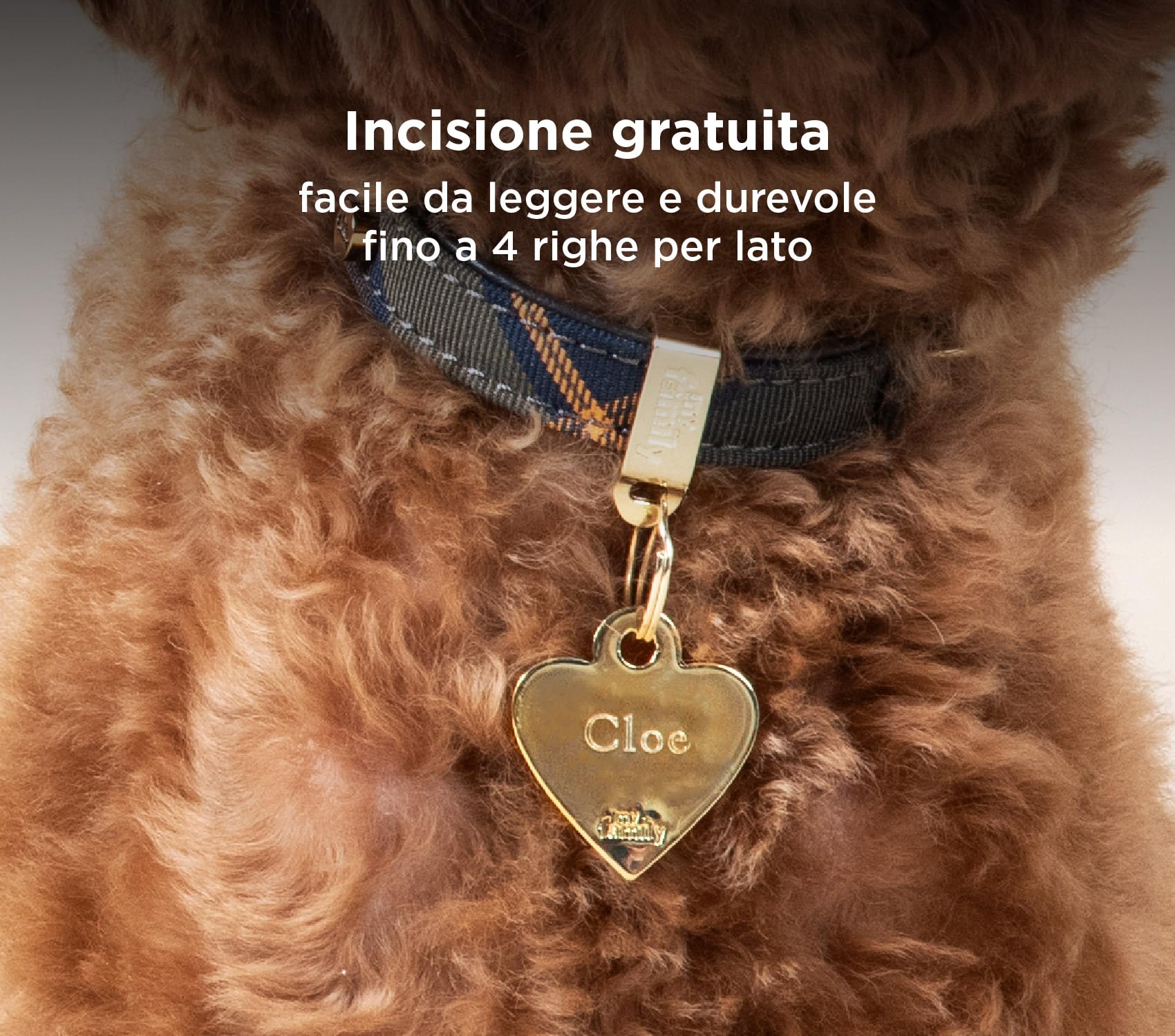 My Family Medaglietta Per Cane Personalizzata Made In Italy, Osso - 8
