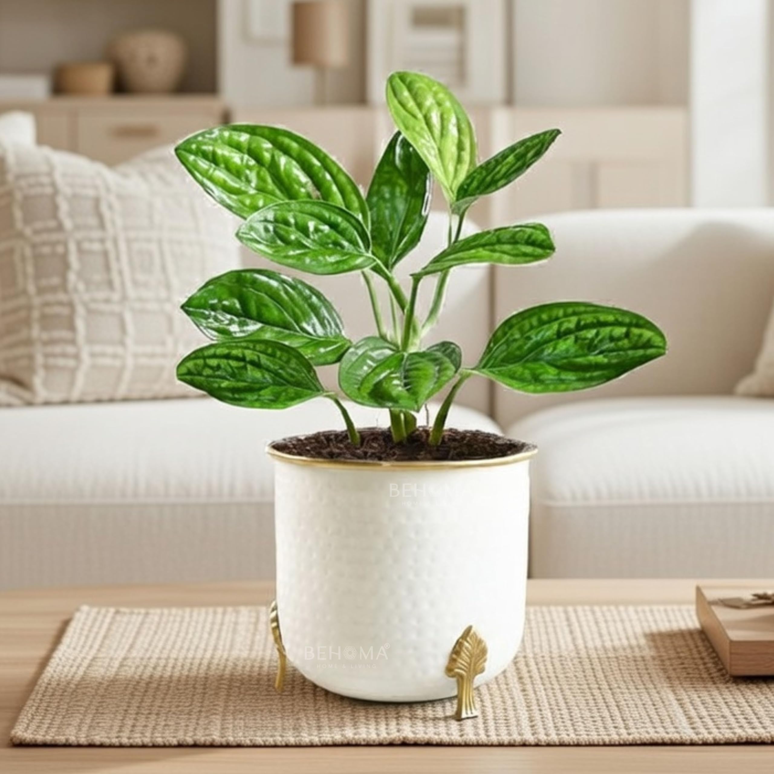 BEHOMA Metal Hammered White Planter with Golden Trim for Home Decor | Decoratives for Indoor Outdoor Balcony Living Room | Table Decor Plant Pot Gifting | Size H- 6" x Dia.6 inch (Plant not Included)