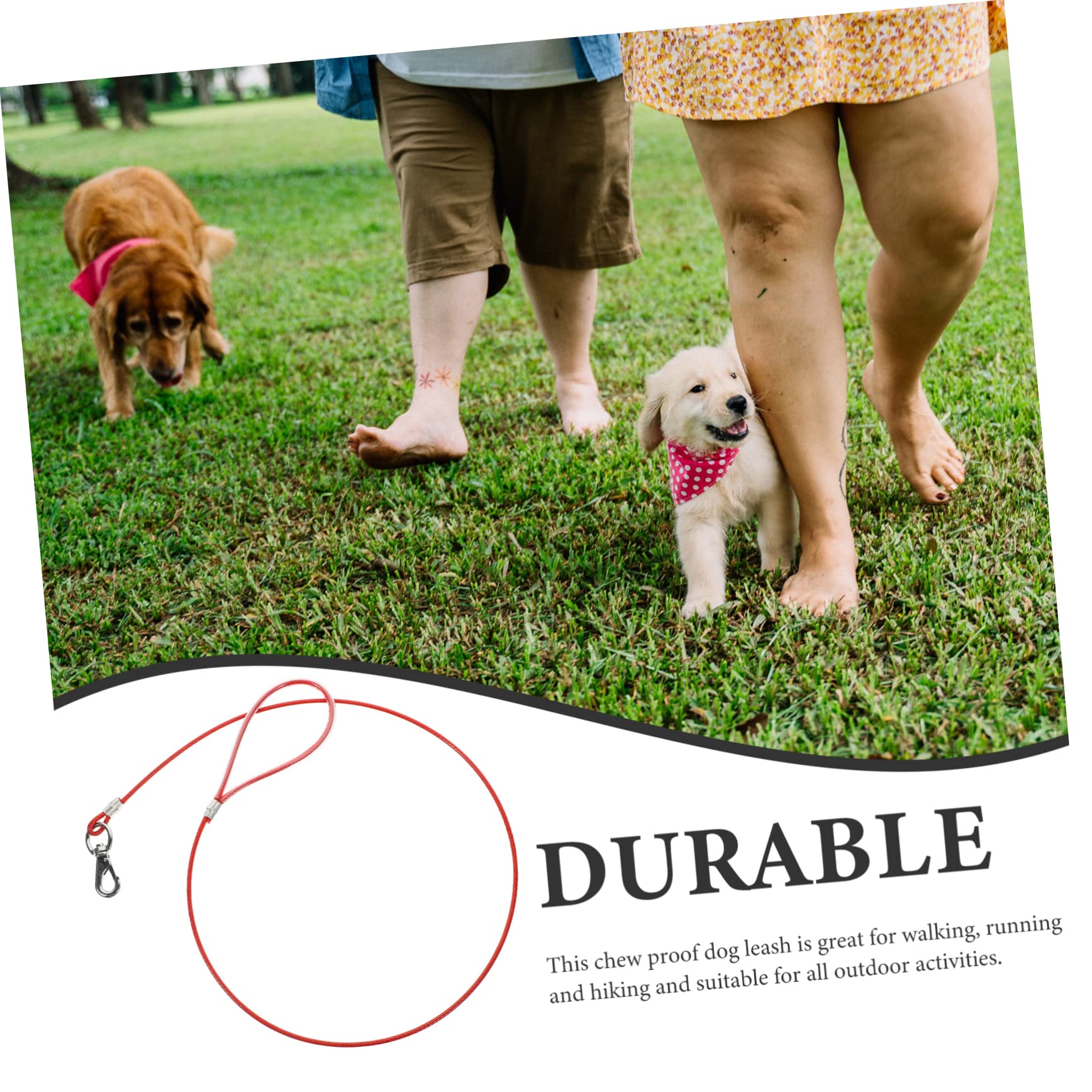 INOOMP 4pezzi Guinzaglio Per Cani Acciaio Inossidabile Resistente Ai Morsi Per Passeggiate e Attività All Aperto Design Elegante e Leggero