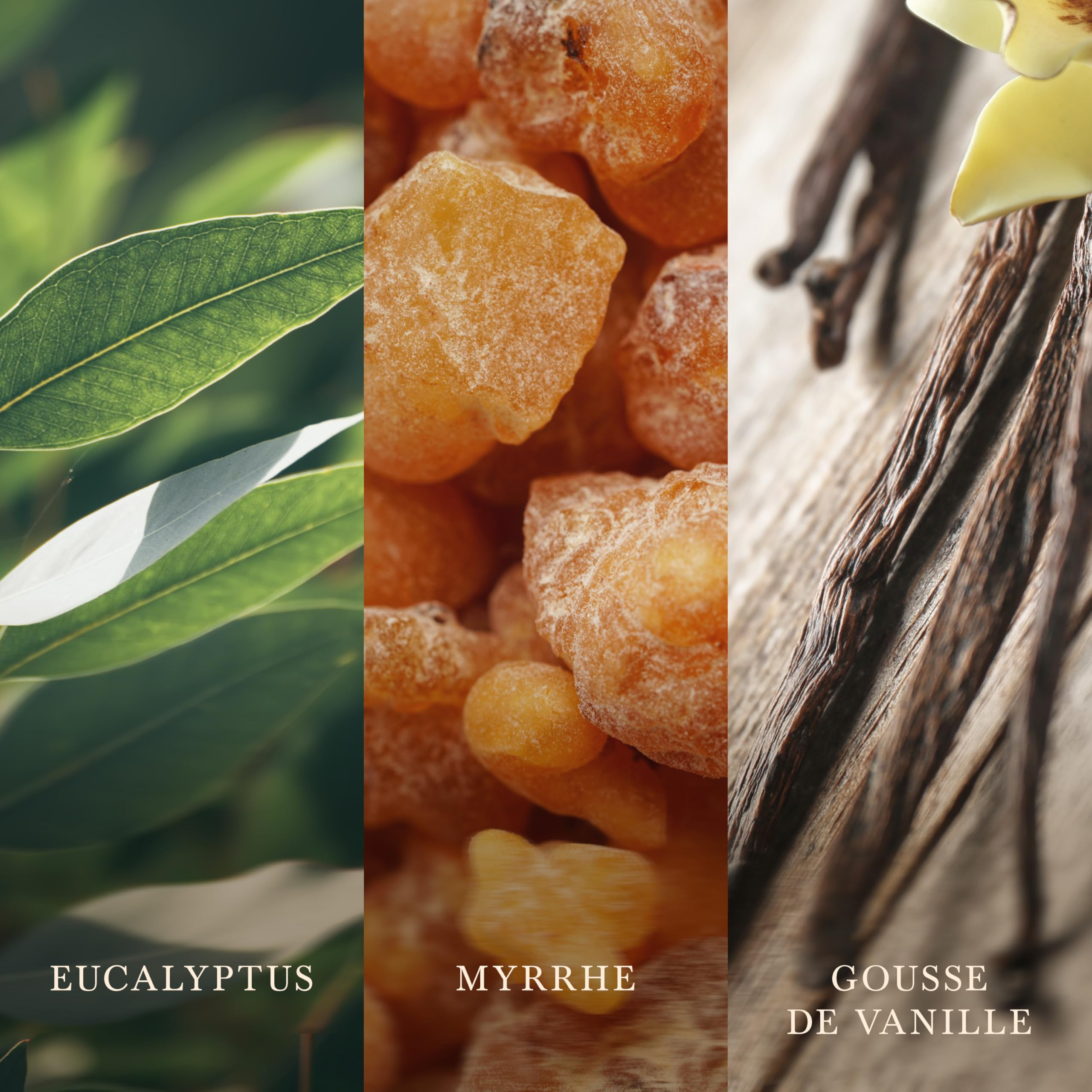 WoodWick Bougie parfumée | Grande bougie sablier | Myrrhe et bois de santal | Cadeaux parfaits pour femmes