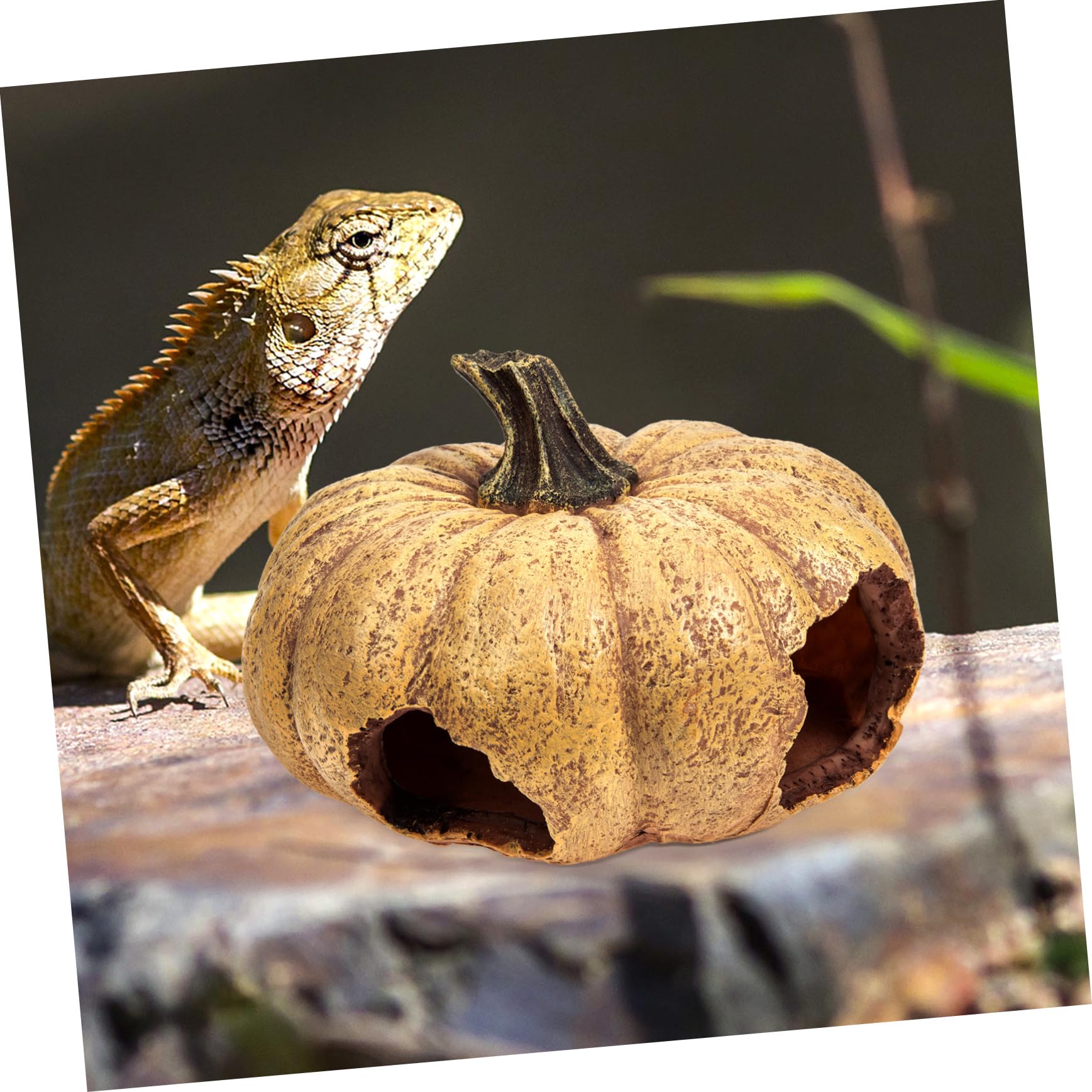Decorativa Caverna Per Rettili Finta Forma Di Zucca Rifugio Delicato Per Terrario Nascondiglio Multifunzionale Per Animali Esotici e Betta Design Realistico Per Decorazioni