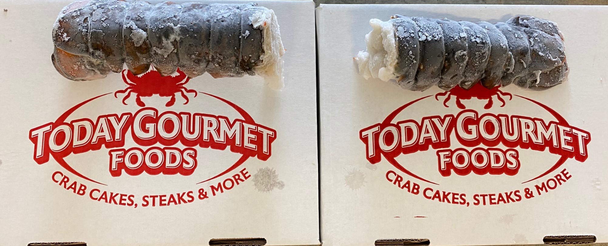 Maine Lobster NowMaine Lobster Tails 12oz - 14oz (8 Tails)