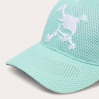 Oakley Skull Mesh Cap 26.0 Men's Cap