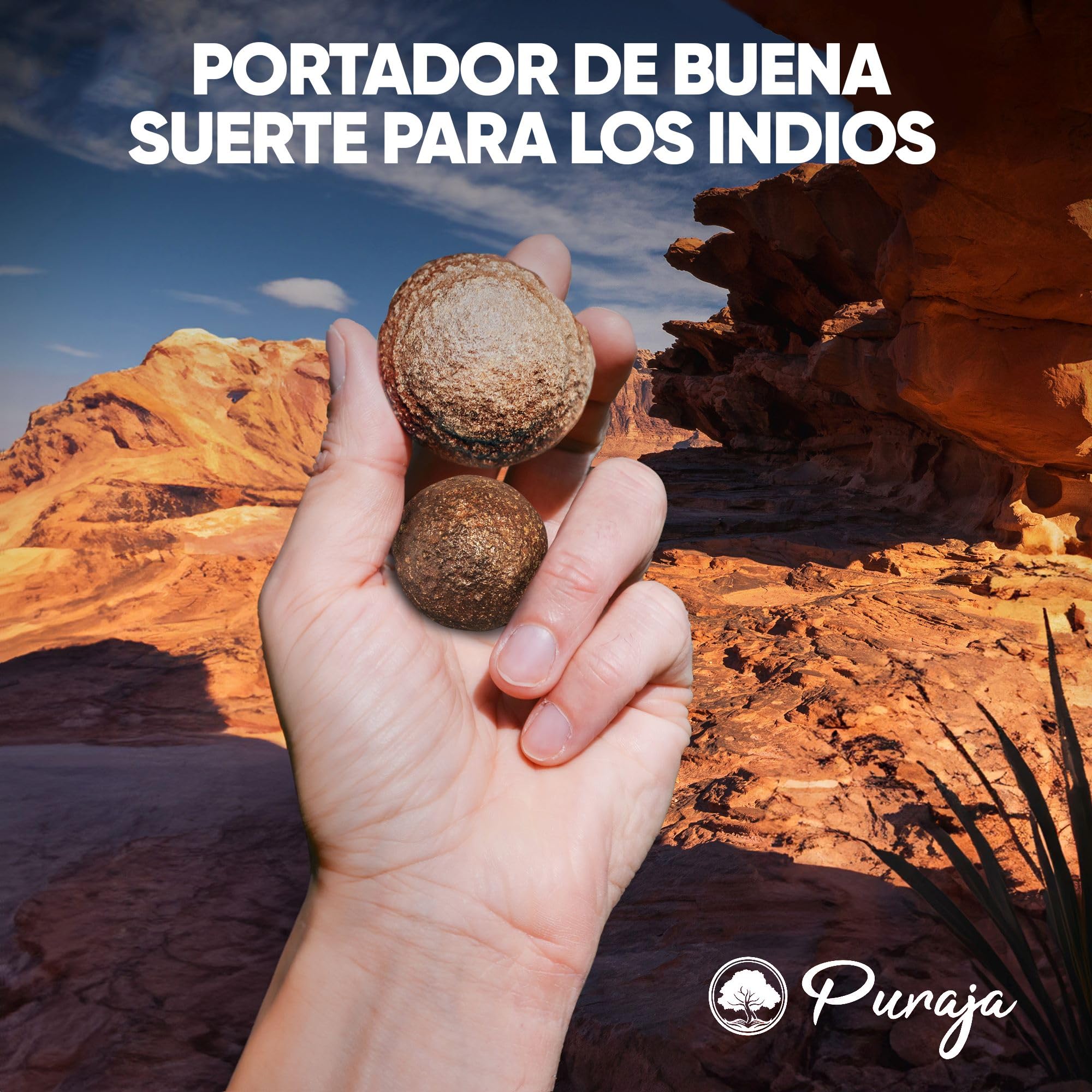 PURAJA Paar Original Moqui Marbles mit Echtheitszertifikat | Lebende Steine in Premium Qualität | Direkt aus dem Hopi Indianer - Gebiet im Westen der USA (Größe XL 28-38mm)