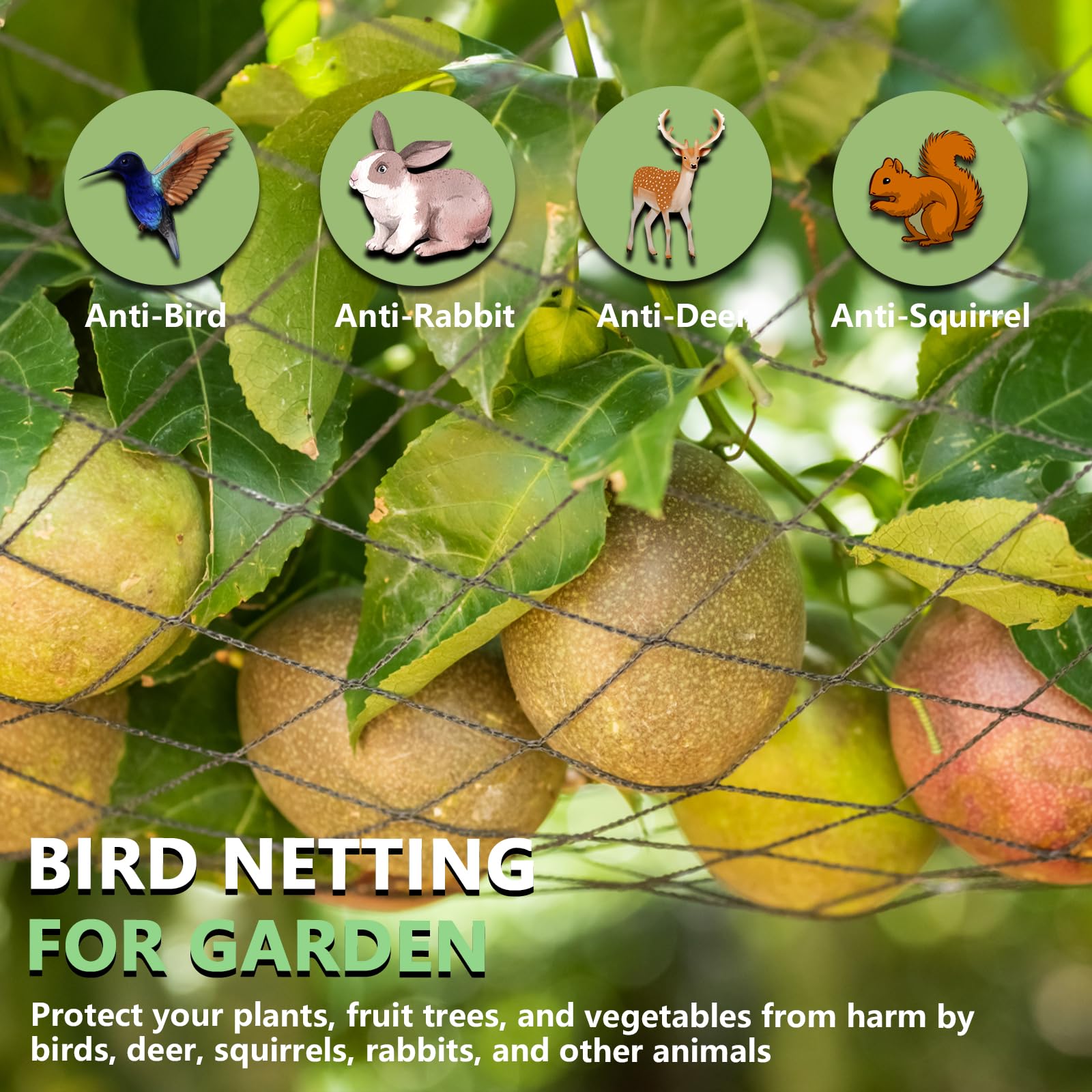 Red para pájaros para jardín, 25 x 25 pies, red de jardín negra resistente para árboles frutales, gallineros, estanques, arbustos de arándanos, aves de corral y ciervos, red de protección de plantas