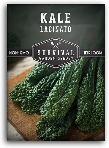 Semillas de supervivencia para jardín  Lacinato Kale Seed para plantar  Paquete con instrucciones para plantar y cultivar su hogar vegetal jardín