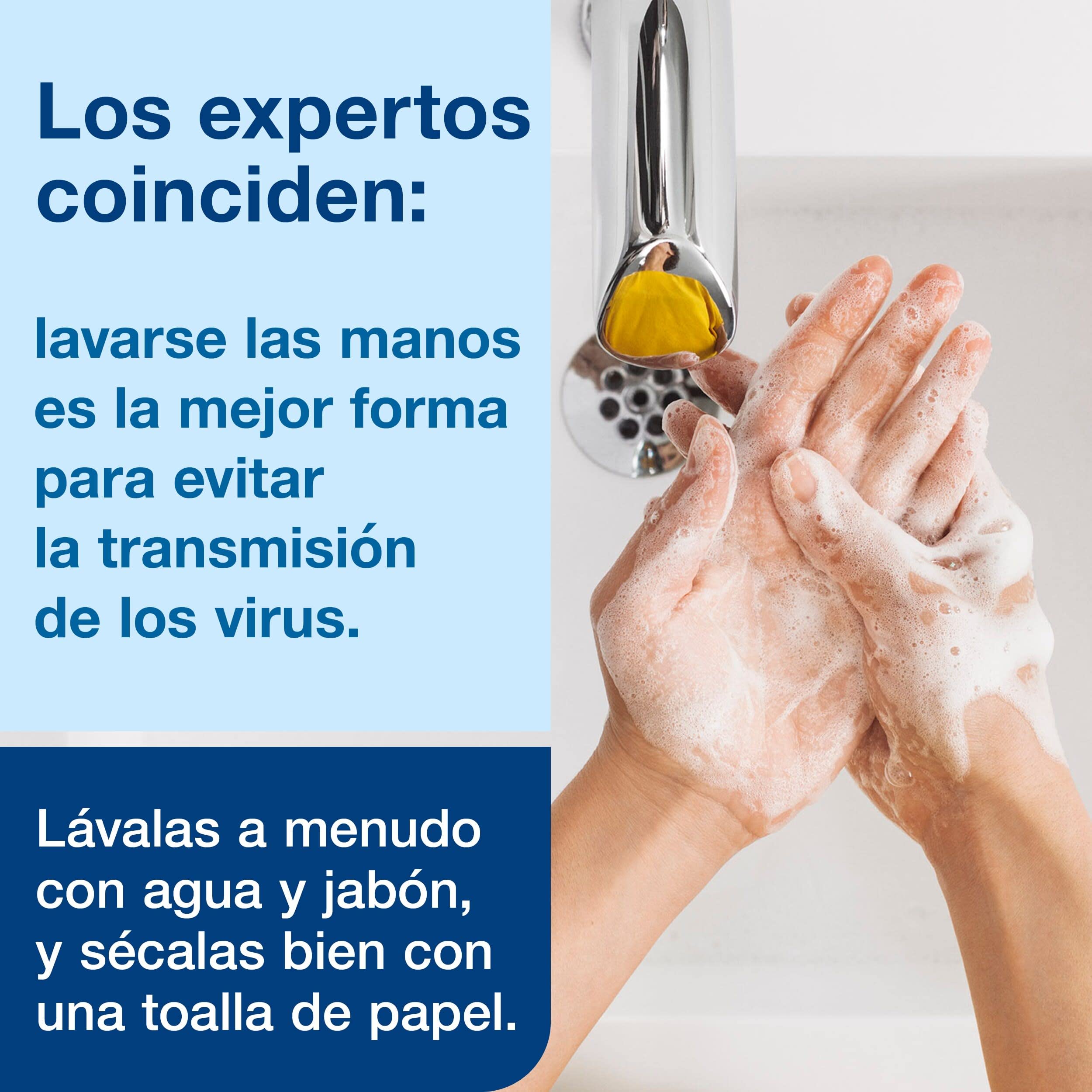 Tork Jabón Líquido para Manos sin fragancia S1/S11, Disolvente de grasas, 1 × 1000 ml, 420810