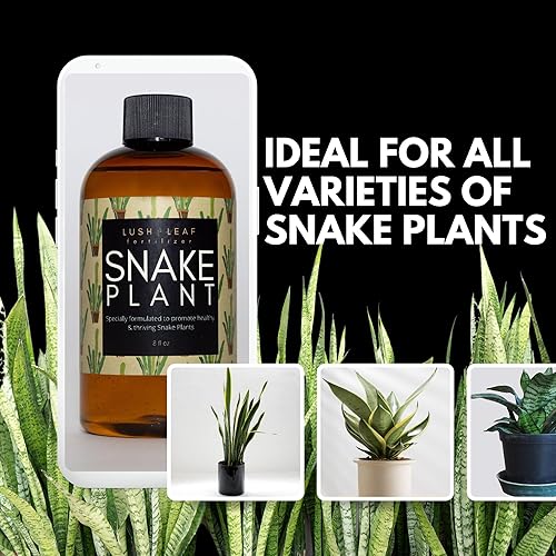 Miniatura 4 de Lush Leaf  Alimento vegetal (planta de serpiente)