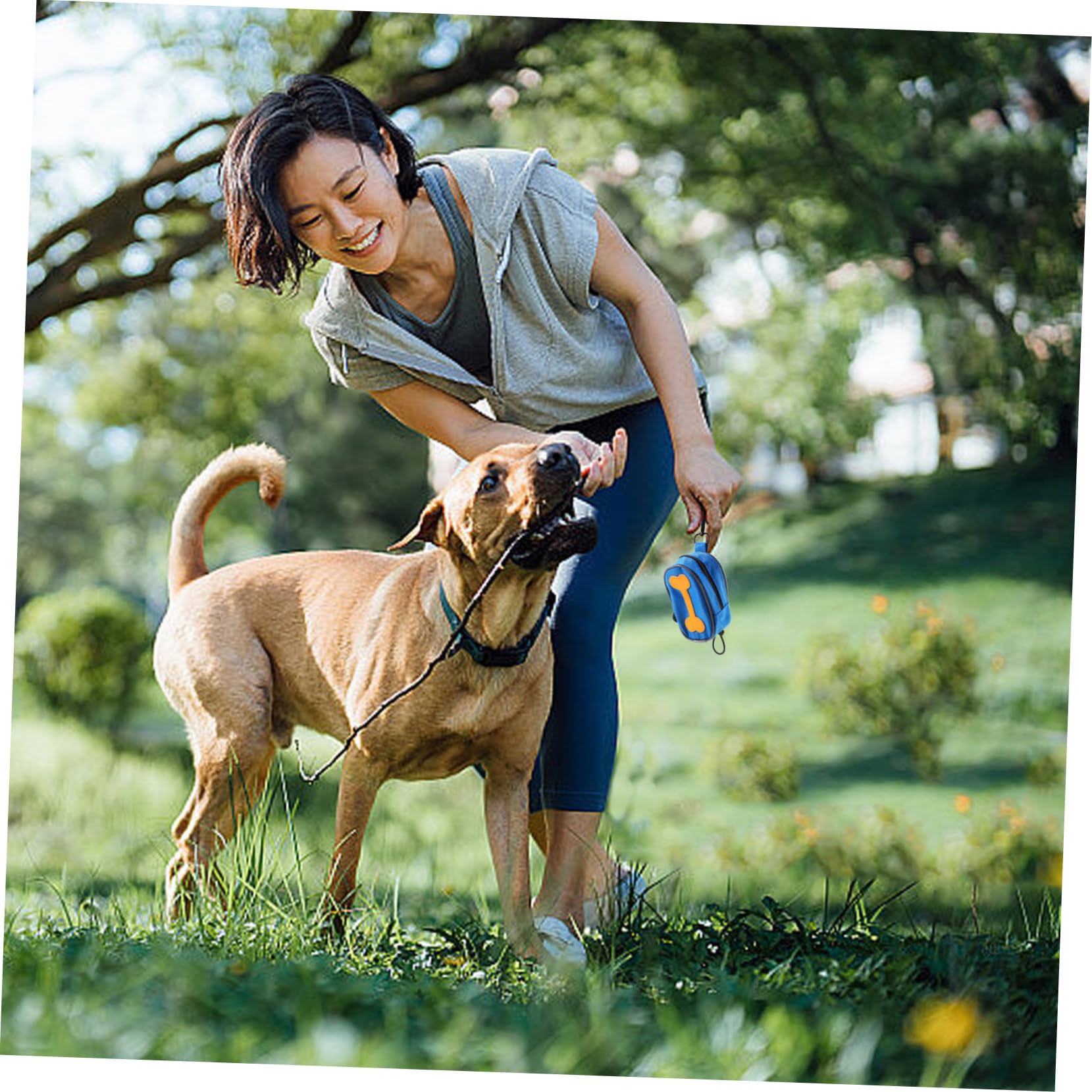 Mikikit Dispensador Portátil de Bolsas para Excrementos de Perro con 8 Rollos, Bolsa de Tela Oxford con Cremallera para Correa, Adecuado para Paseos al Aire Libre