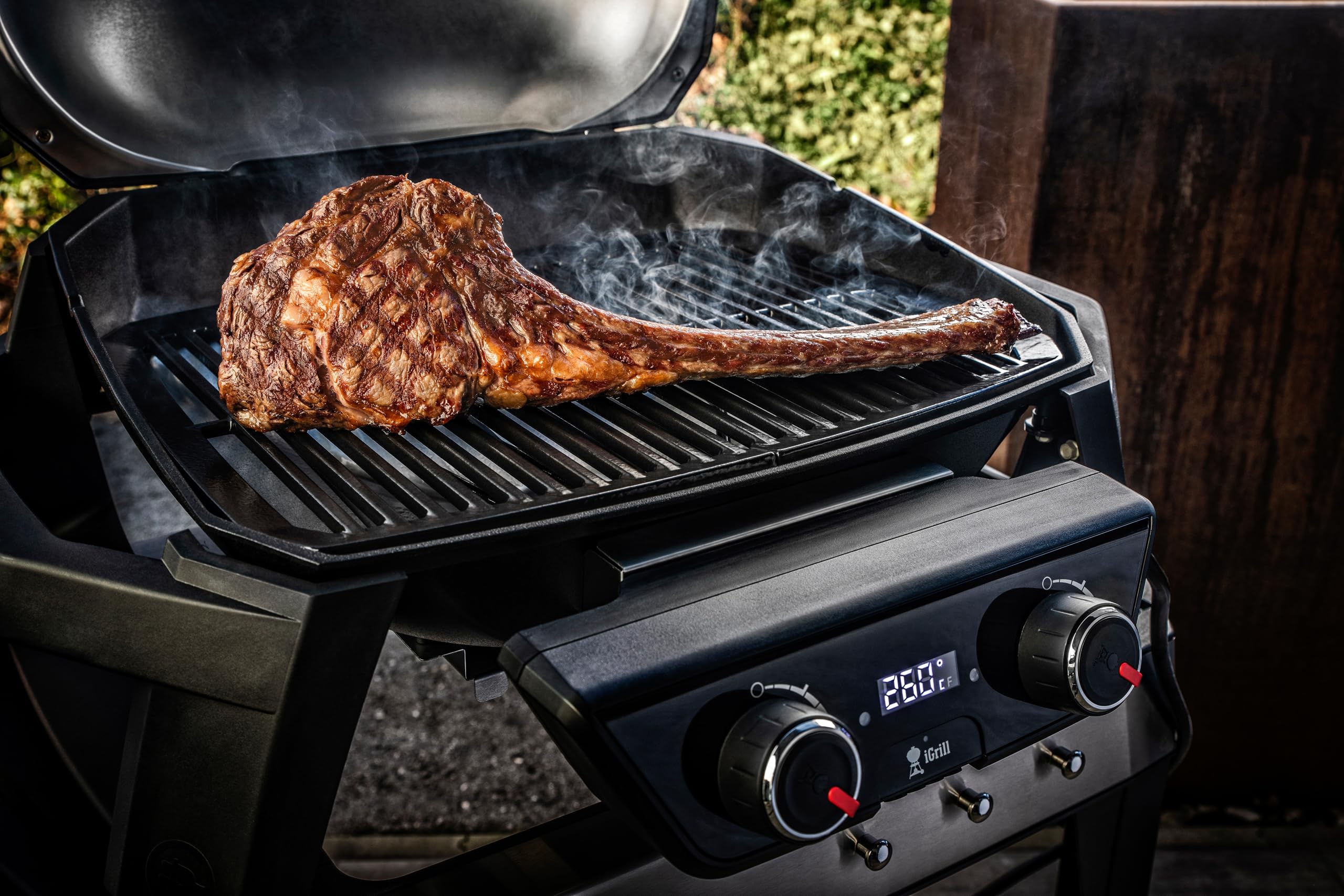 Weber Pulse 2000 Grill Da tavolo Elettrico 2200W Nero