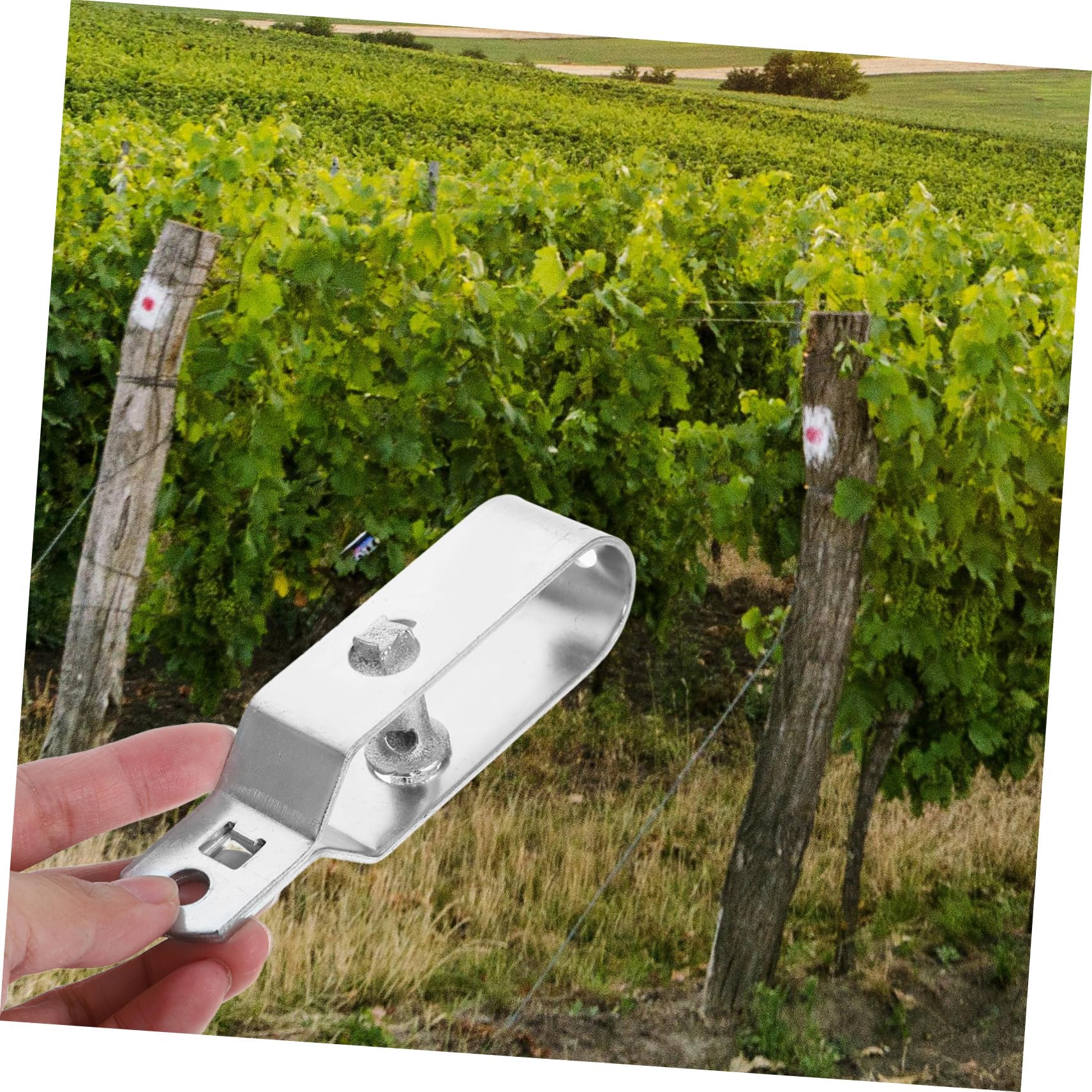 PLAFOPE 10pezzi Tenditore Per Filo Da Strumento Robusto e Resistente Facile Da Montare e Usare Per Giardino e Installazioni Stabili