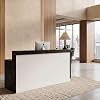 Reception Desk with Drawer, Cabinet, Keyboard Tray, LED, Two Person Front Desk, Double Office Reception Counter for Office & Business, Beauty, Salon, Lobby Shop, Hotel