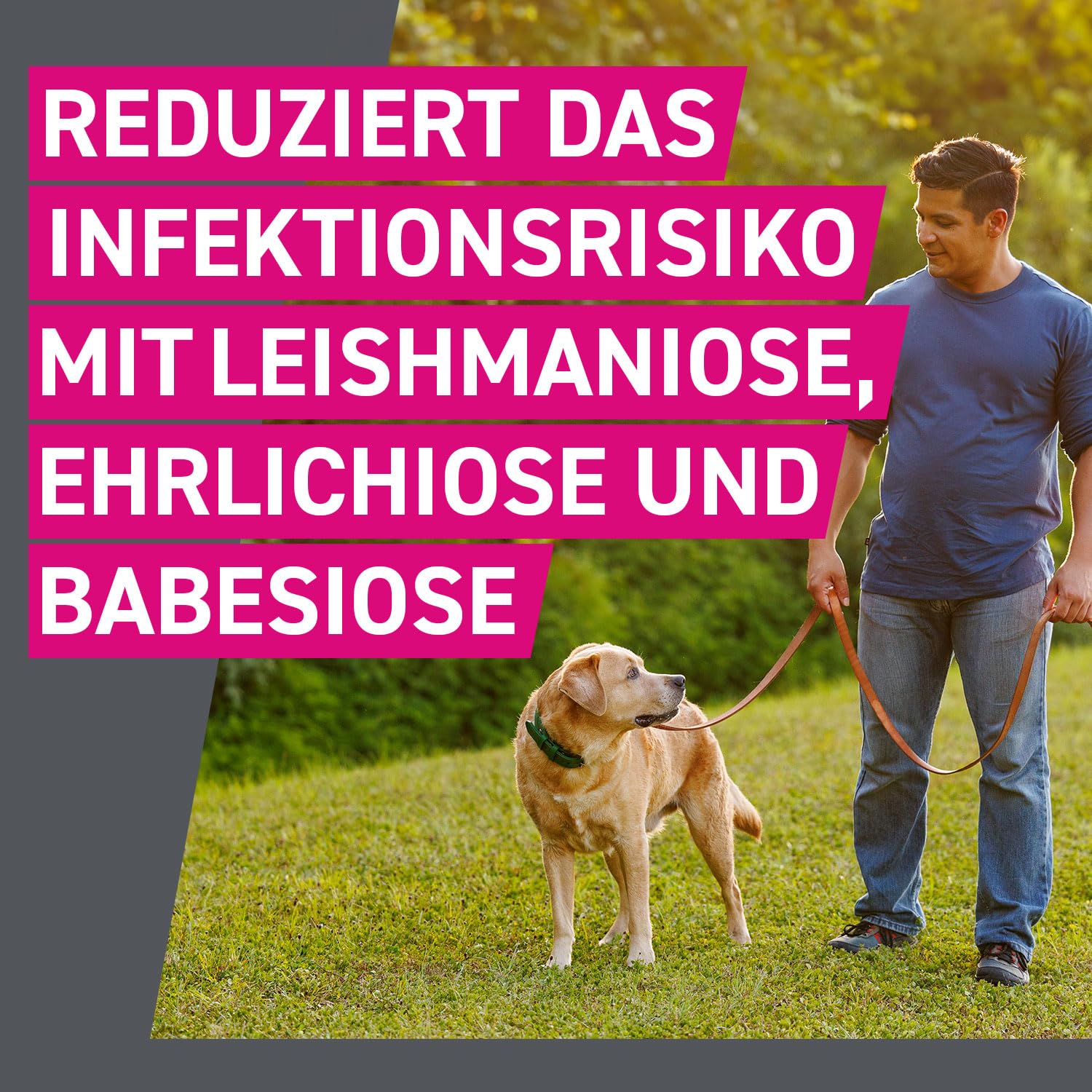 FRONTLINE TRI-ACT Hund XL gegen Zecken, Flöhe & Mücken (40 bis 60 kg) | 6+3 Pipetten (2er Pack) für bis zu 9 Monate Schutz - wasserfest - perfekt auf Reisen - für große Hunde