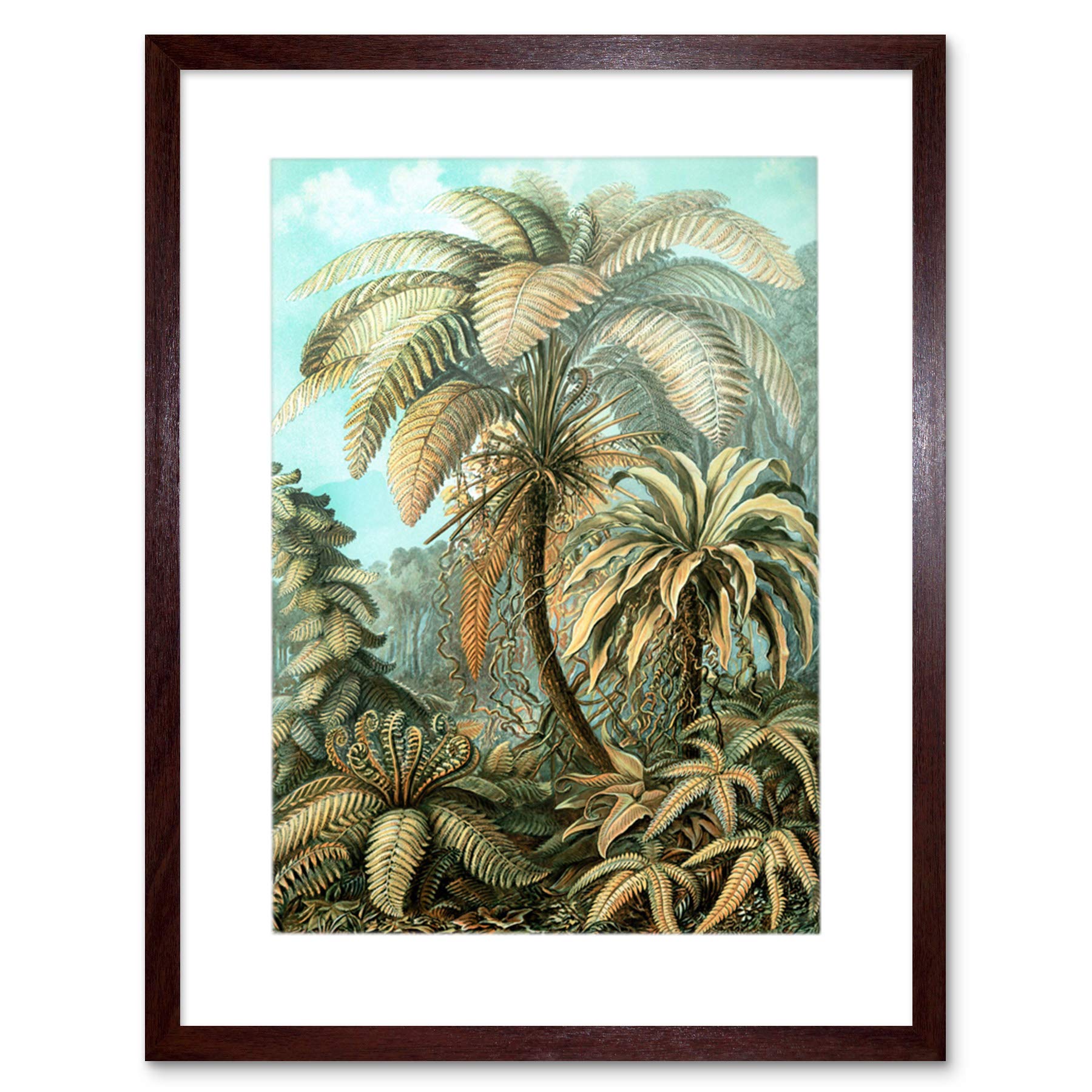 Wee Blue Coo Nature Biology Fern Ernst Haeckel Germany Picture Framed Wall Art Print