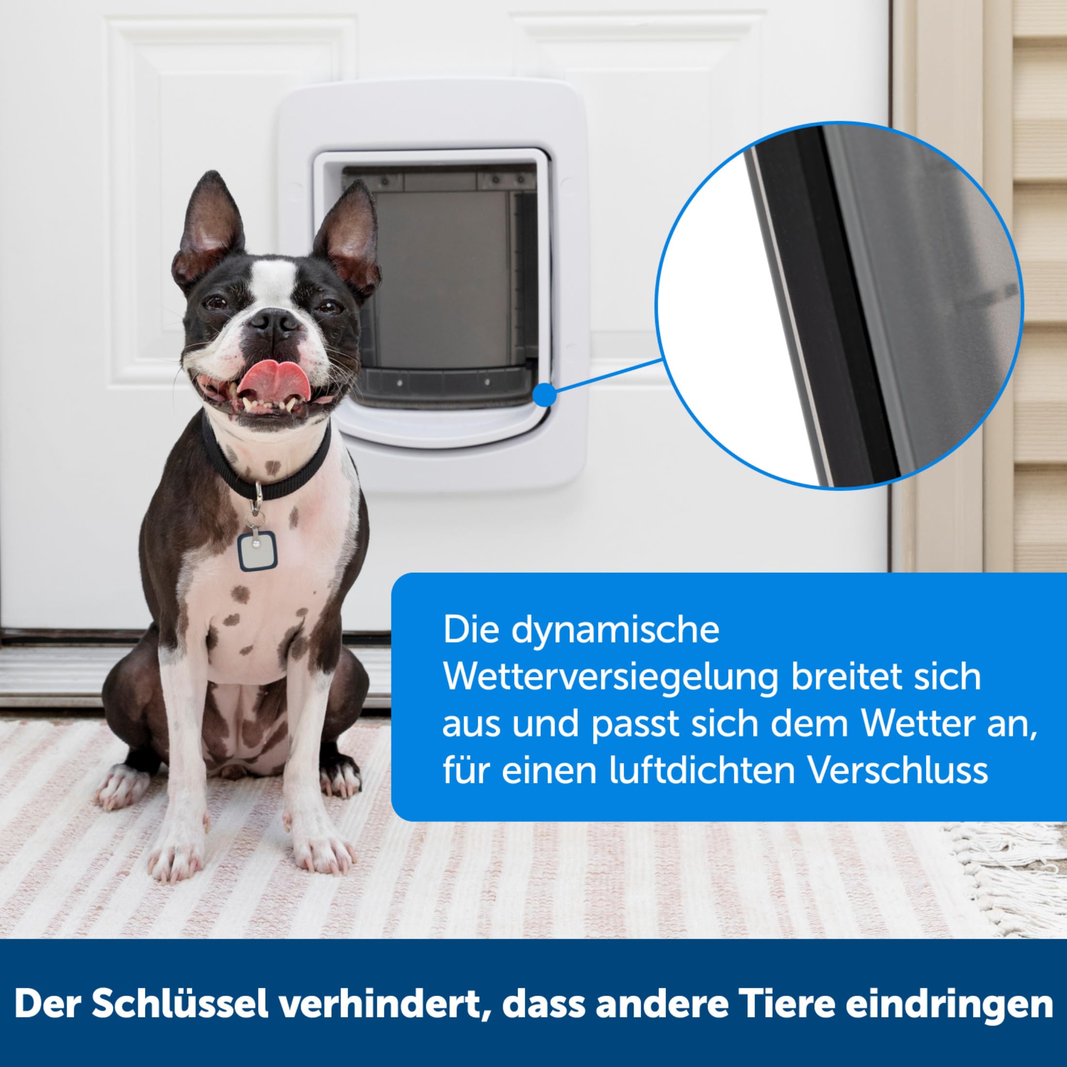 PetSafe SmartDoor Intelligente Haustiertür - App-gesteuert, Selektiver Zugang, Energieeffizient - Groß