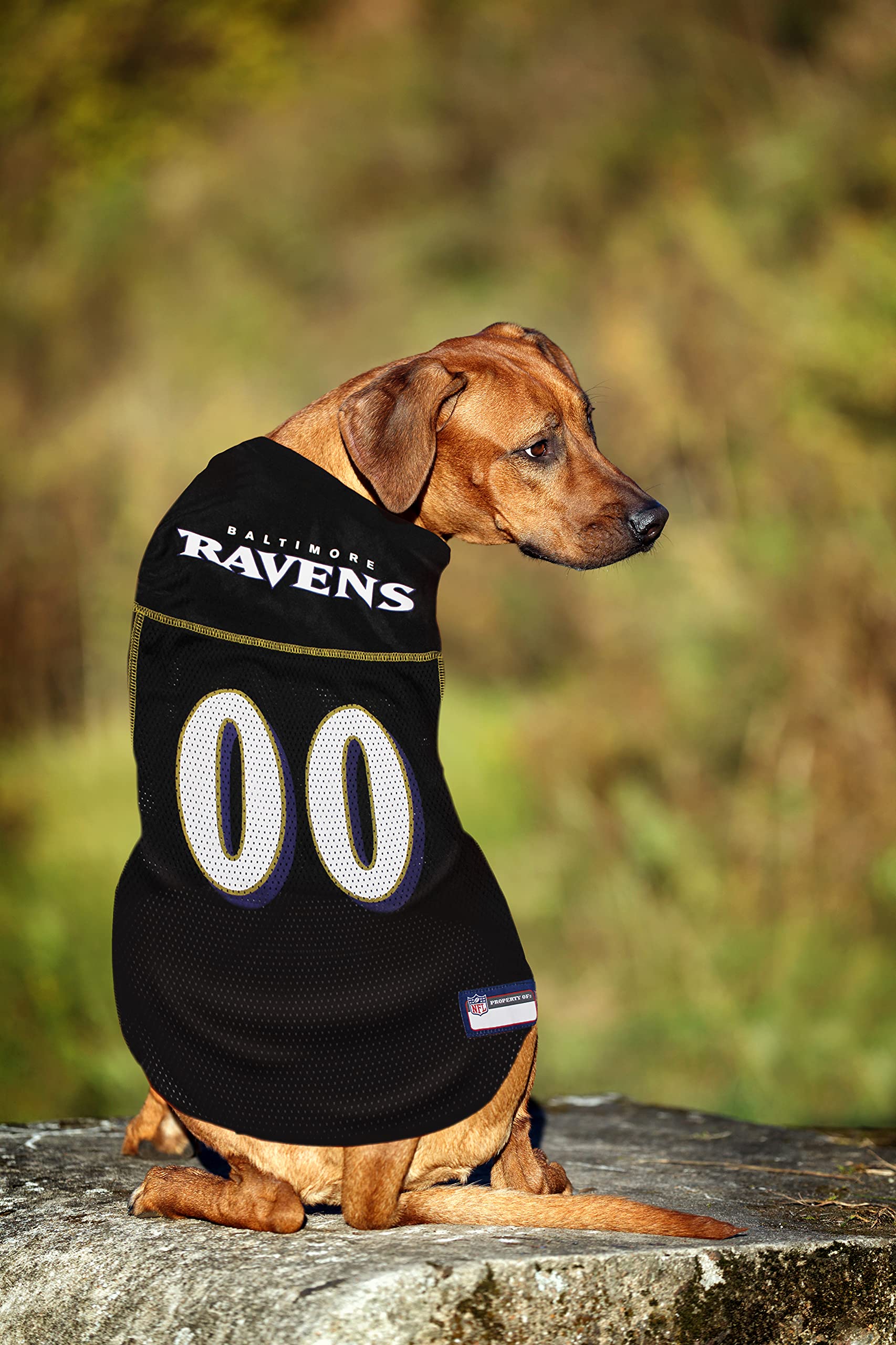 NFL-Haustiertrikot, Hundetrikot, American Football, lizenziertes American-Football-Trikot für Hunde, 32 NFL-Teams verfügbar, in 6 Größen erhältlich, Football-Haustiertrikot, Sport-Netztrikot, Hundetrikot