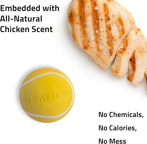 Miniatura 6 de Playology Juguete para perros Squeaky Chew Ball - Carne de res y pollo