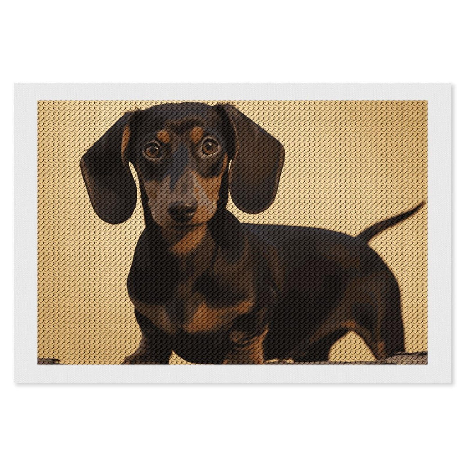 NONHAI Diamond Painting Kits for Adults - DIY Diamond Art Kits for Beginners - Full 5D Paint Drill Diamond Dots Paintings- A Cute Dachshund Diamonds Pictures Gem Art and Craft Wall Decor 8"x12"