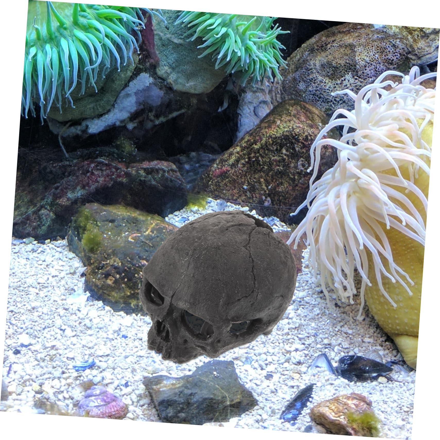 ABOOFAN 5 Pezzi Ornamenti del Cranio Nascondere Pelle di Rettile Ornamenti per Acquari Tropicali Decorazione Dell'acquario del Cranio Ornamento Arredamento Grotta Acquario Black Resina