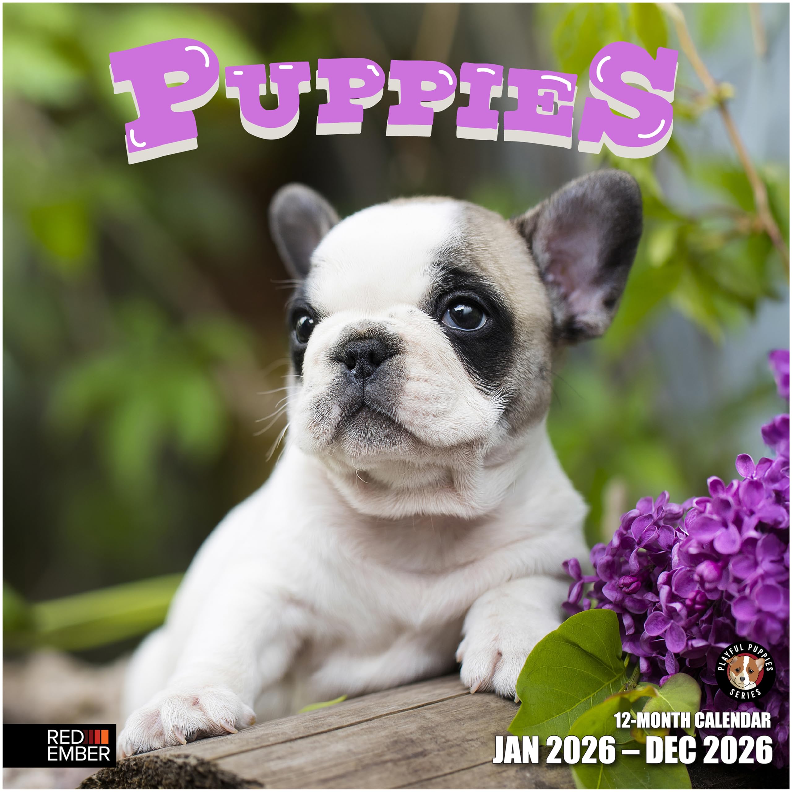 Locker.Ink | Fresh for 2026: Kid-Friendly Calendars to Spark Creativity RED EMBER Puppies 2026 Calendar