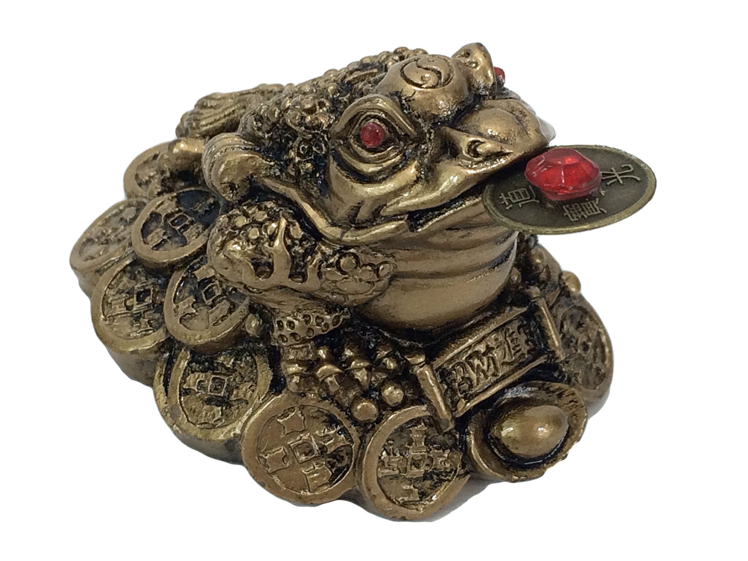 Fortune Lucky Coin Frog Money Toad Brass Gold Resin Feng | Desertcart  Gibraltar