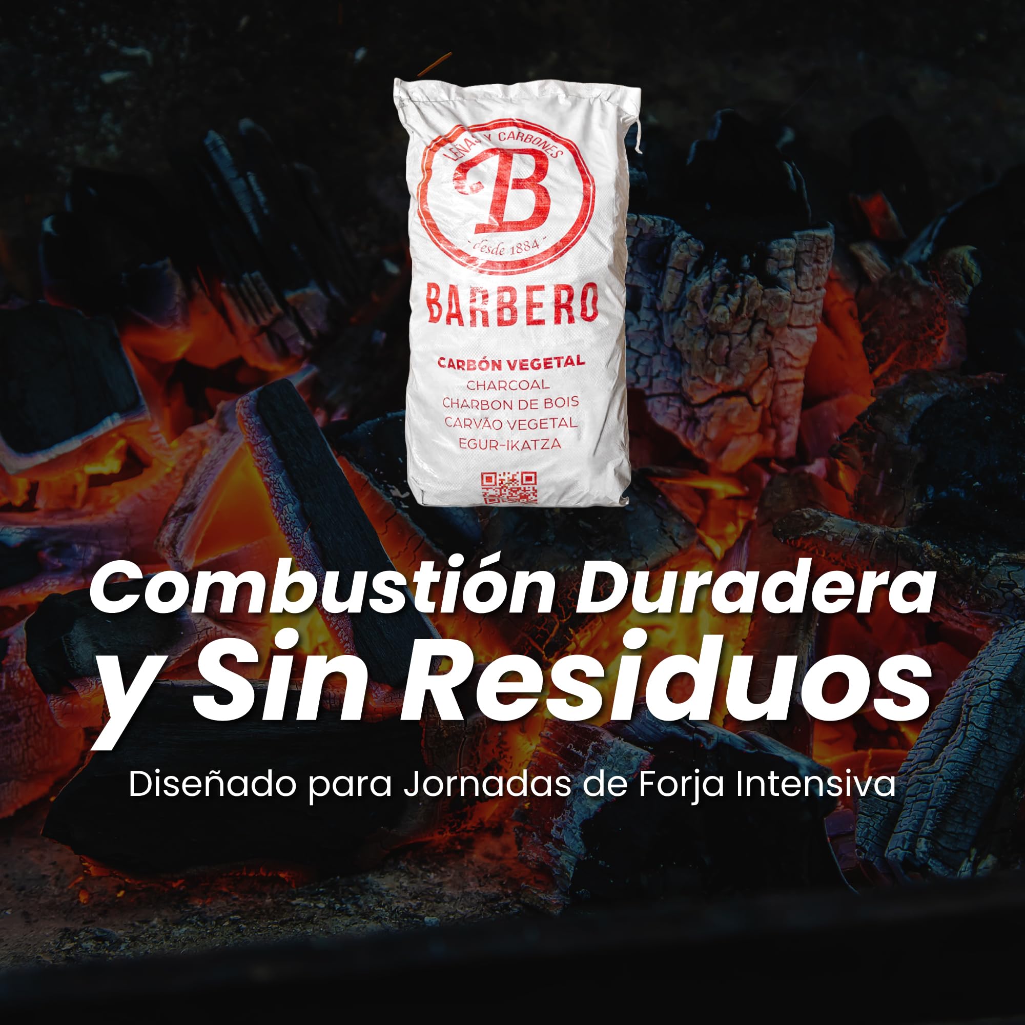 Carbón Vegetal Encina 100 Natural Grueso Saco 20kg Profesional Hostelería Barbacoa Cocina Exterior Brasa Gourmet Alta Temperatura Sin Humo Combustión Lenta Aroma Sabor Carnes (Saco, 1, Unidad)
