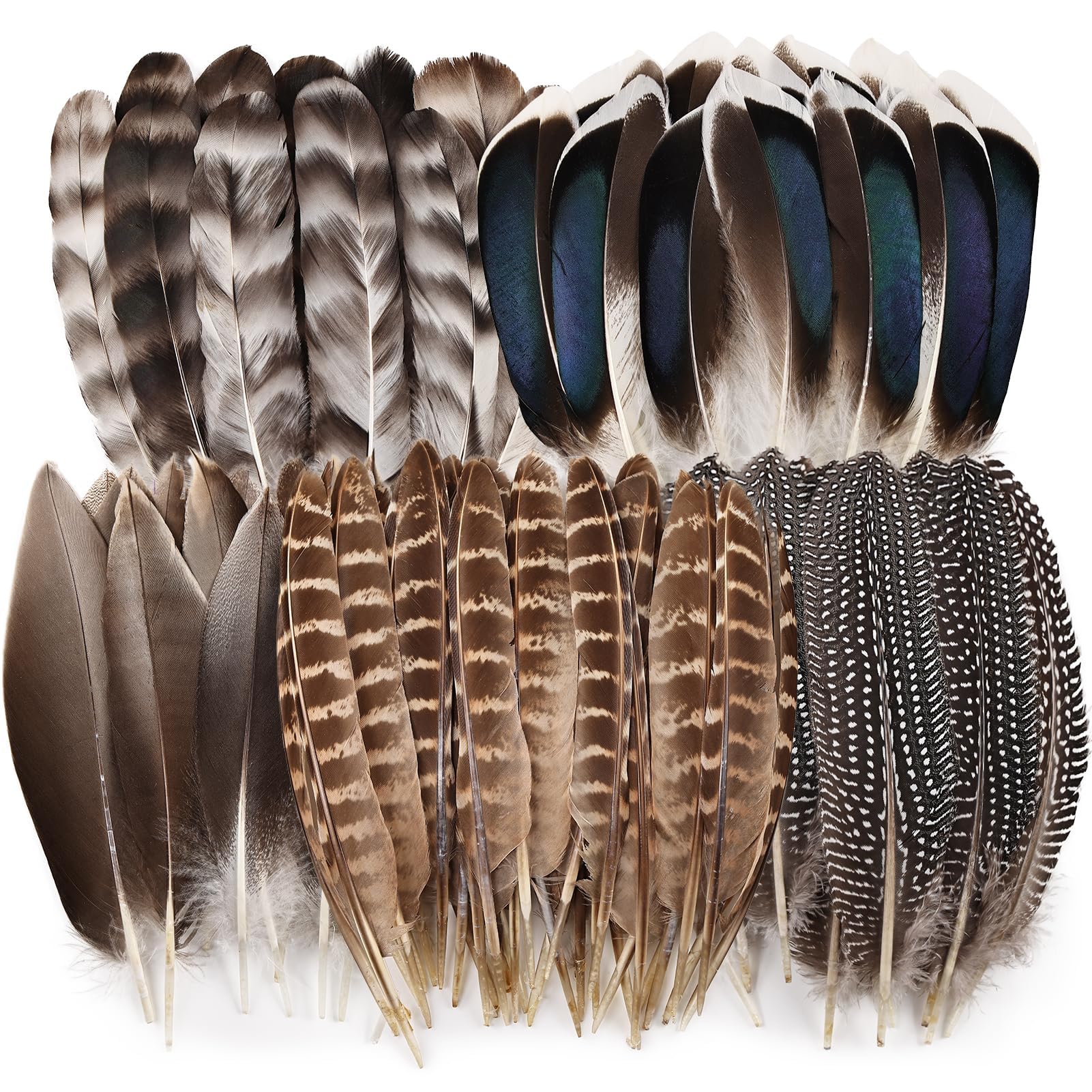 FeatherDecorations：Natural Feathers for Crafting in Assorted Colors; Bulk Peacock Feathers; Turkey Hat Decoration Feathers; Pheasant Feathers for DIY Jewelry Making and Wedding Celebrations