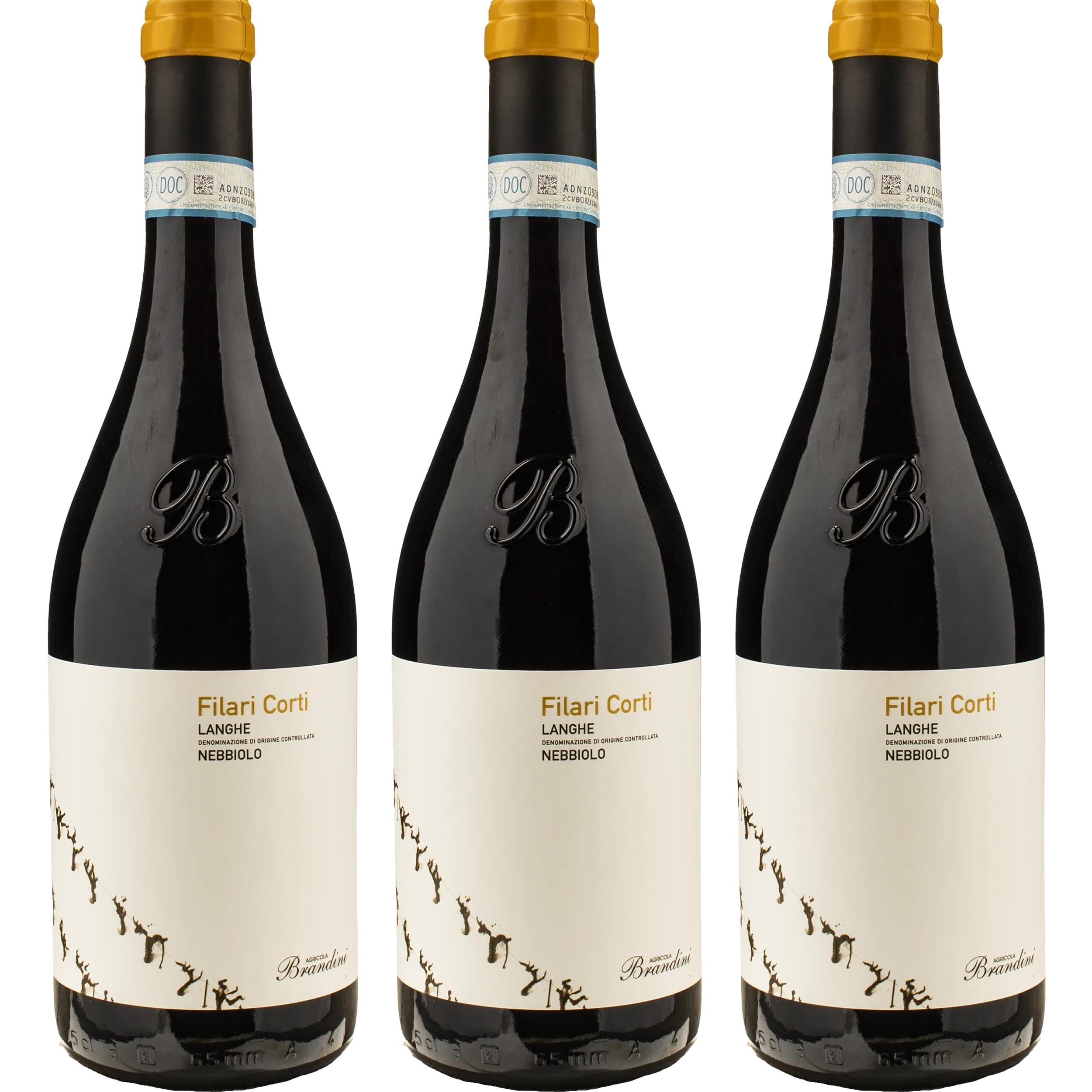 Agricola Brandini Nebbiolo Langhe DOC FILARI CORTI Rotwein Rot trocken BIO Italien inkl. FeinWert E-Book (3 x 0.75 l)