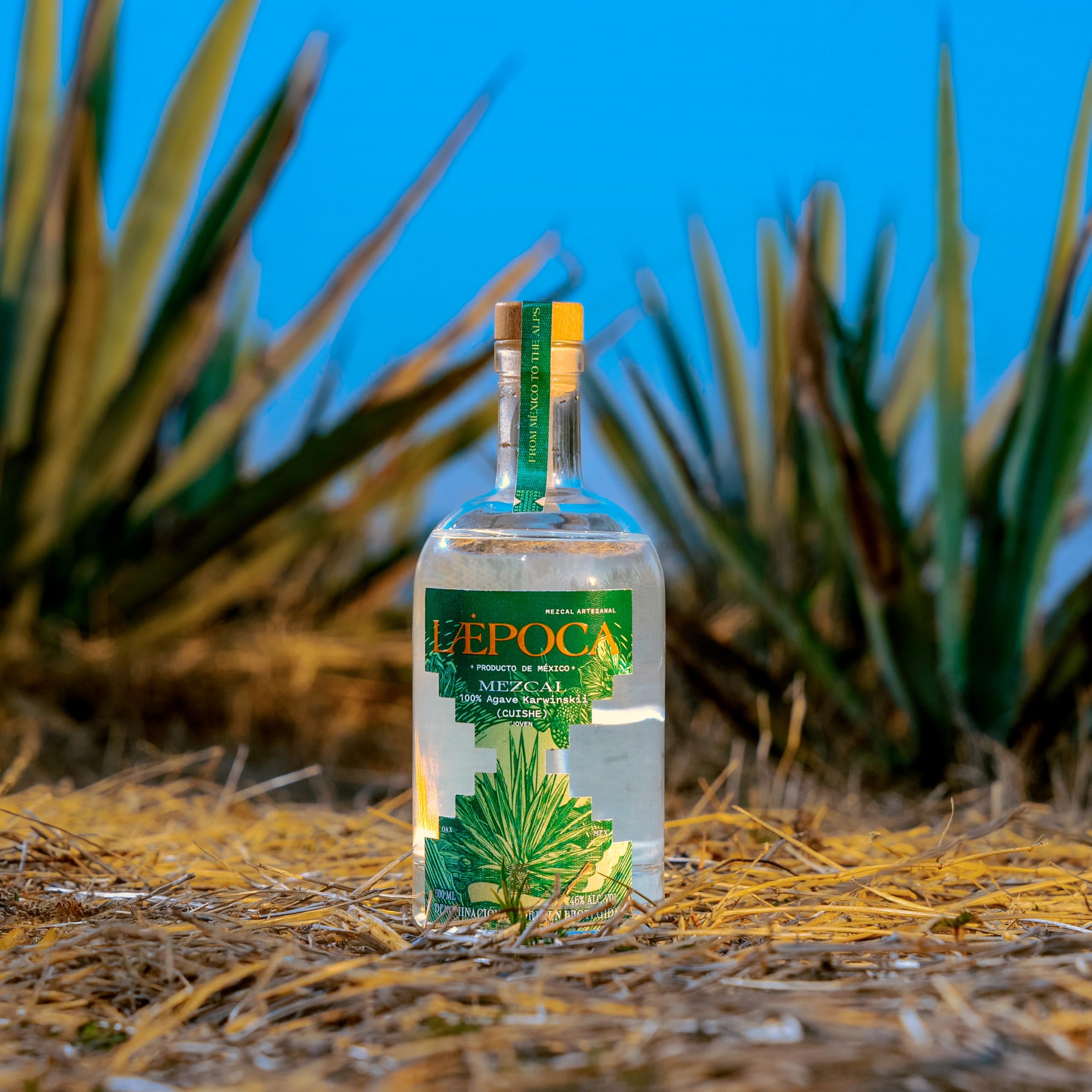 LÆPOCA Mezcal Cuishe | Von Mexiko in die Alpen | Handgefertigt | Joven & Artesanal | 500 ml & 46% vol.