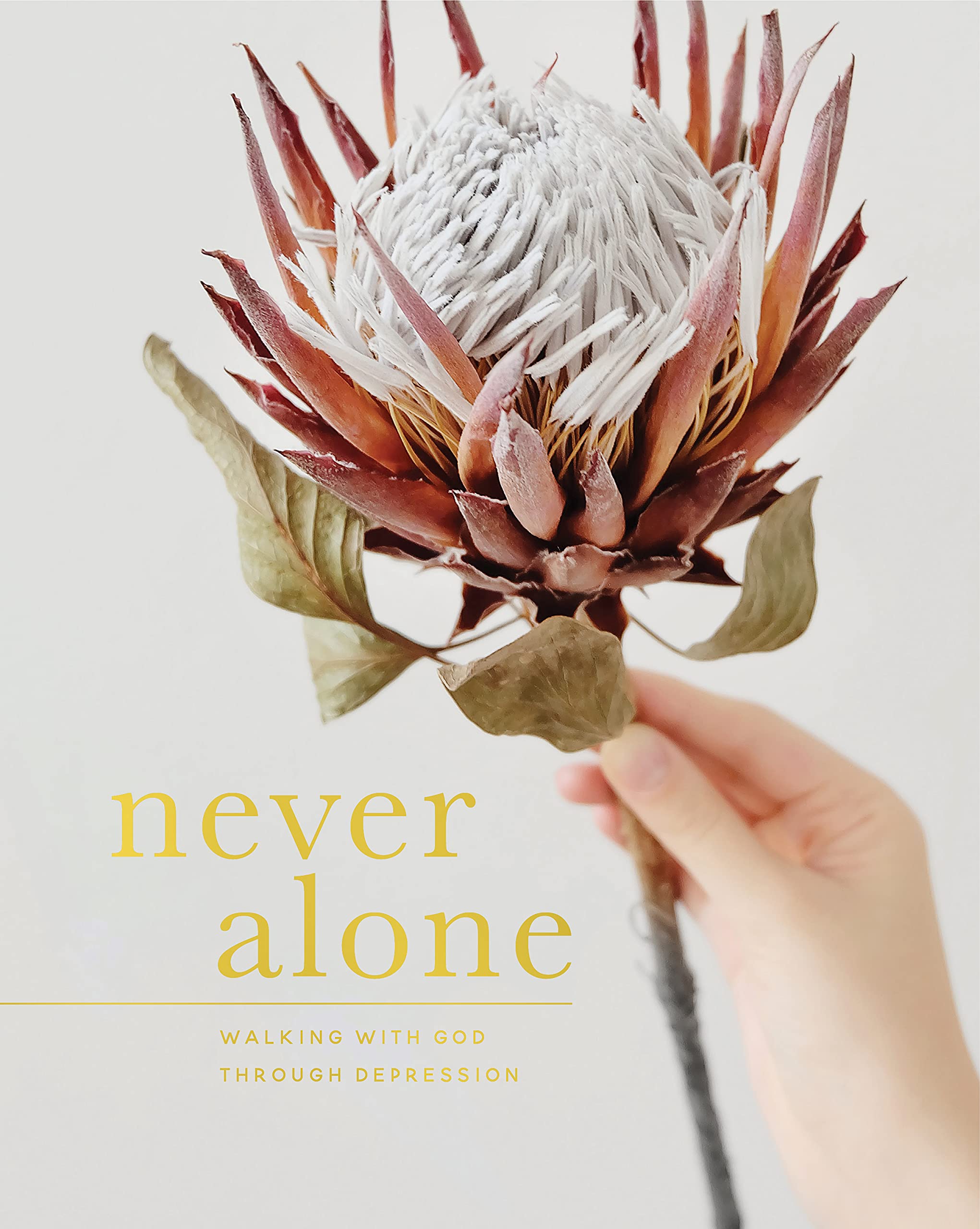 Never Alone: Walking with God Through Depression