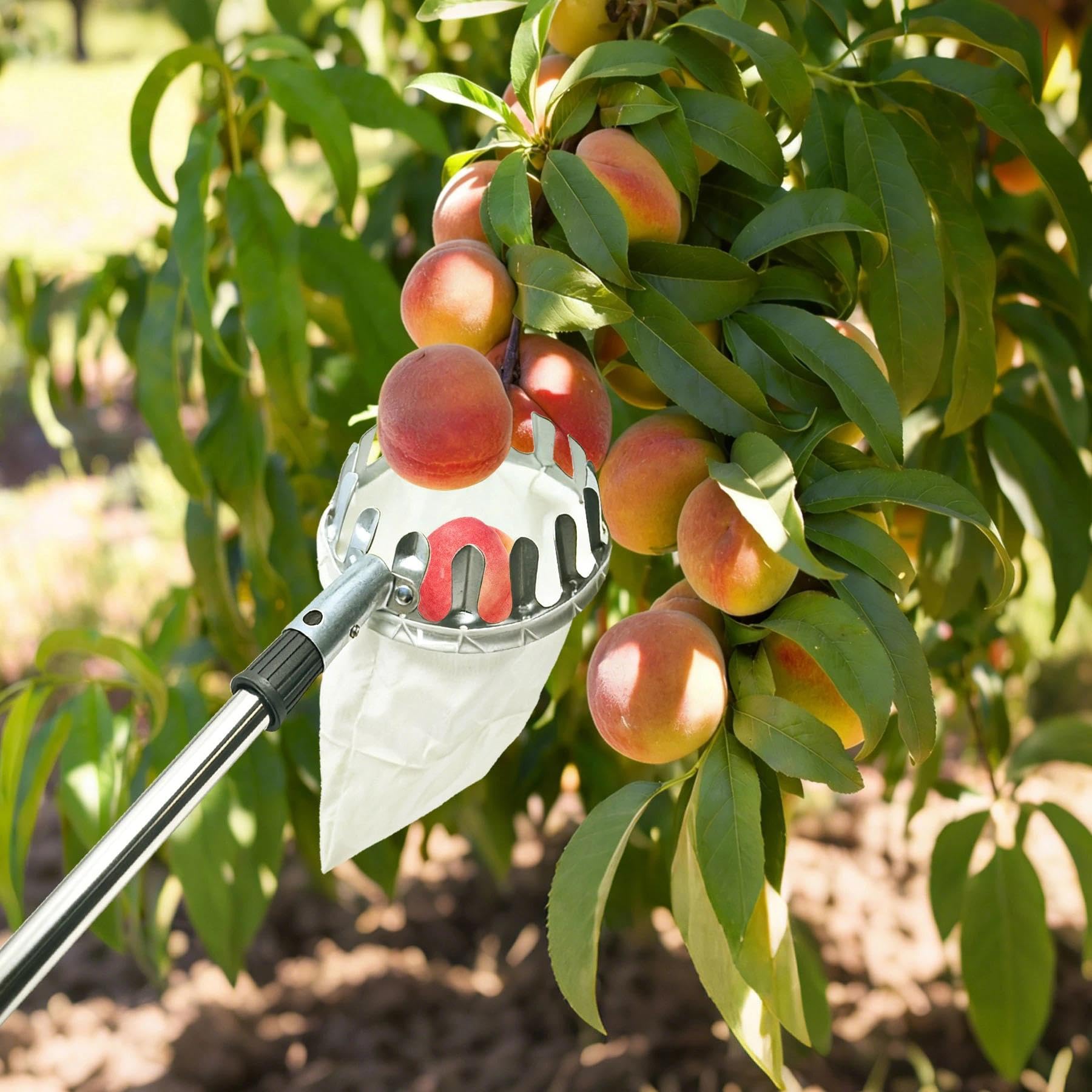 4m Kirschenpflücker, Apfelpflücker mit Teleskopstiel, Obstpflücker für Kirschen, Obstpflücker Teleskop, Pflückhilfe für Obst mit Leichter Edelstahl, Diameter 16cm