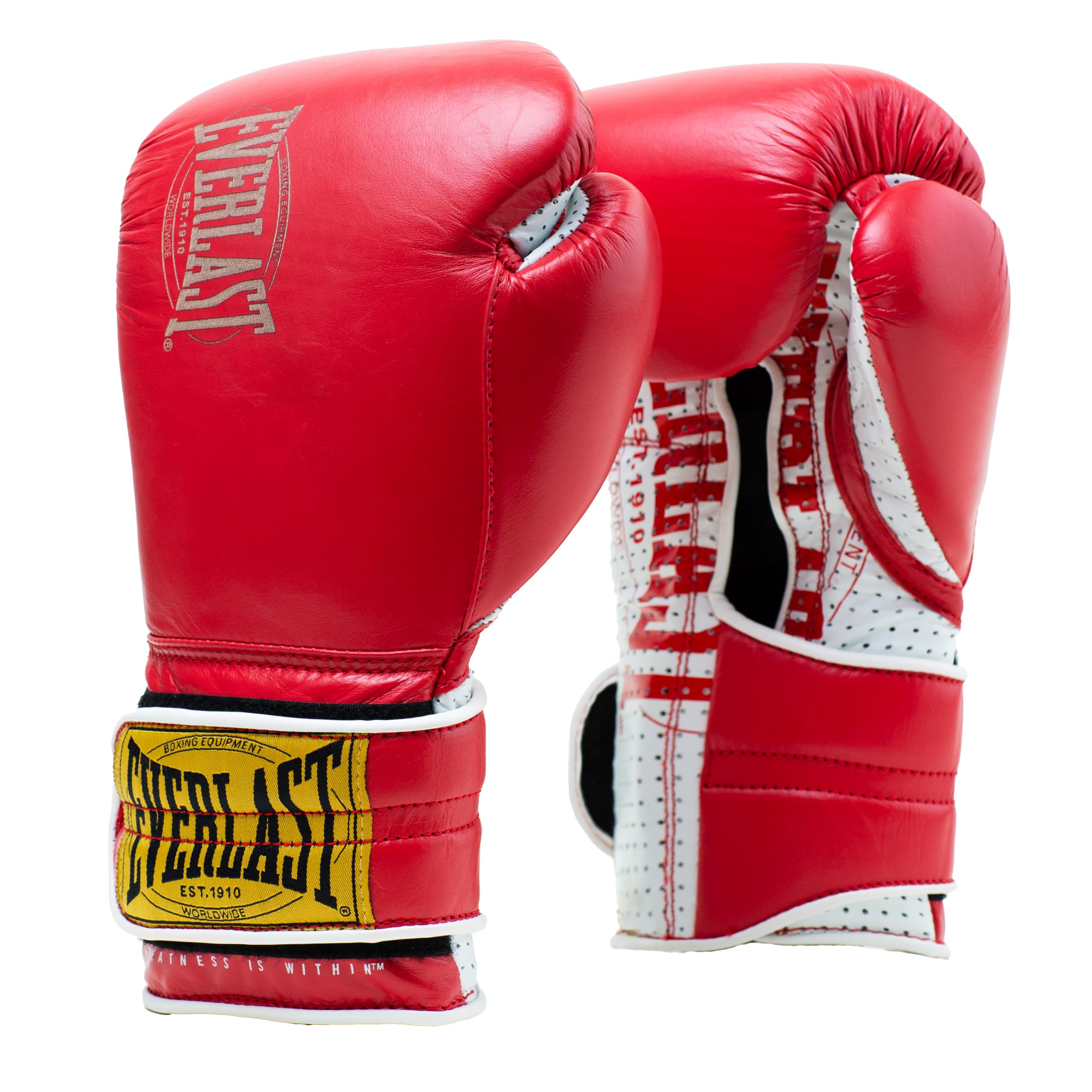 Everlast 1910 Sparring Boxhandschuhe 16oz, Leder, Boxsack, Pratzen