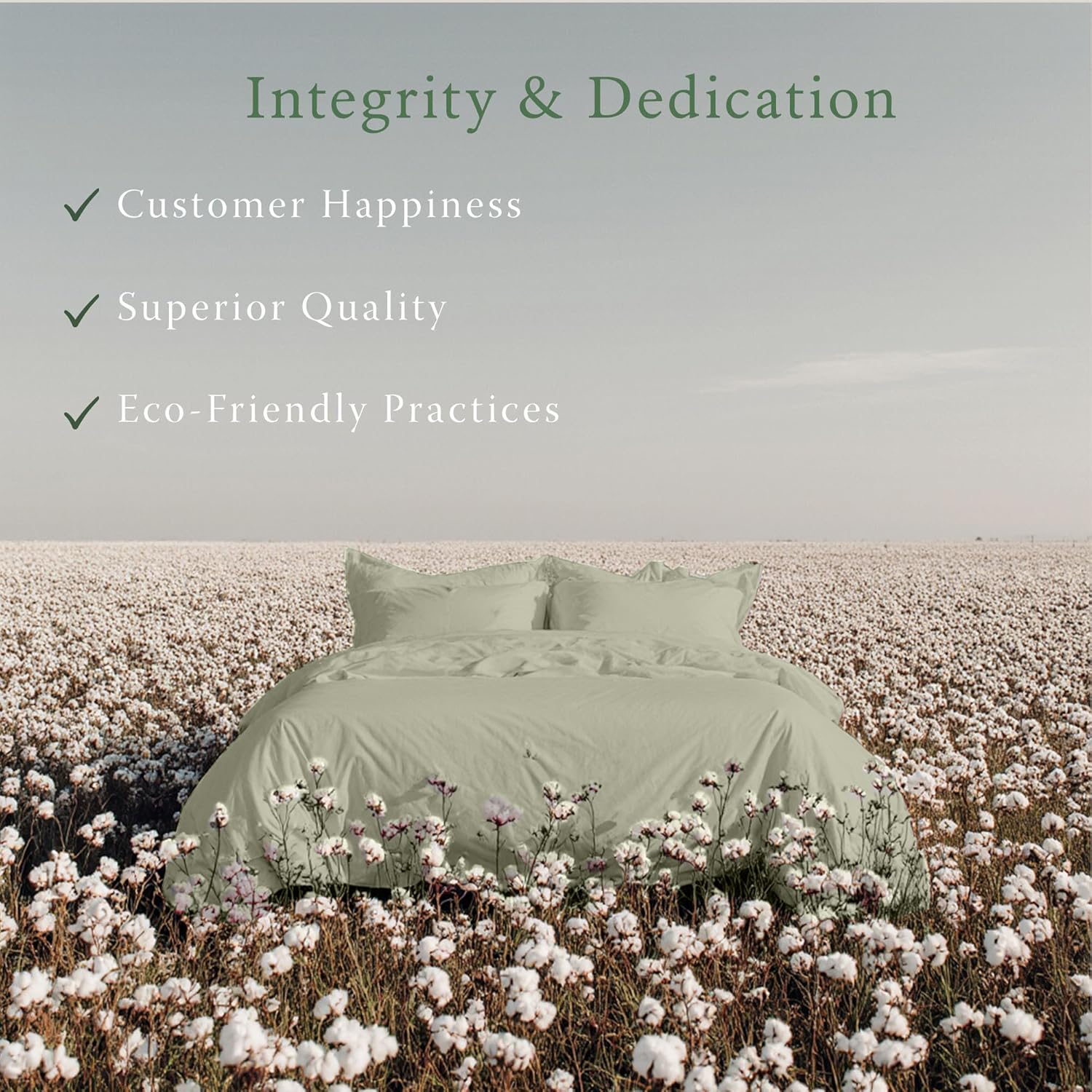 Threadmill Organic Pillow Cases Standard Size Set of 2 | GOTS Organic Certified | Soft, Breathable Luxury Cotton Sheets Perfect for Home, Hotel & Hospital Use | Sage Green Sage Green Solid Pillowcases - Standard/Queen image 5 of 7 B0B85CHT7B