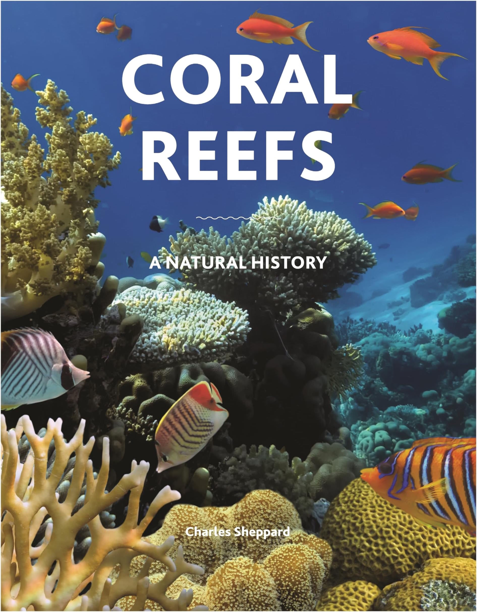 Coral Reefs: A Natural History