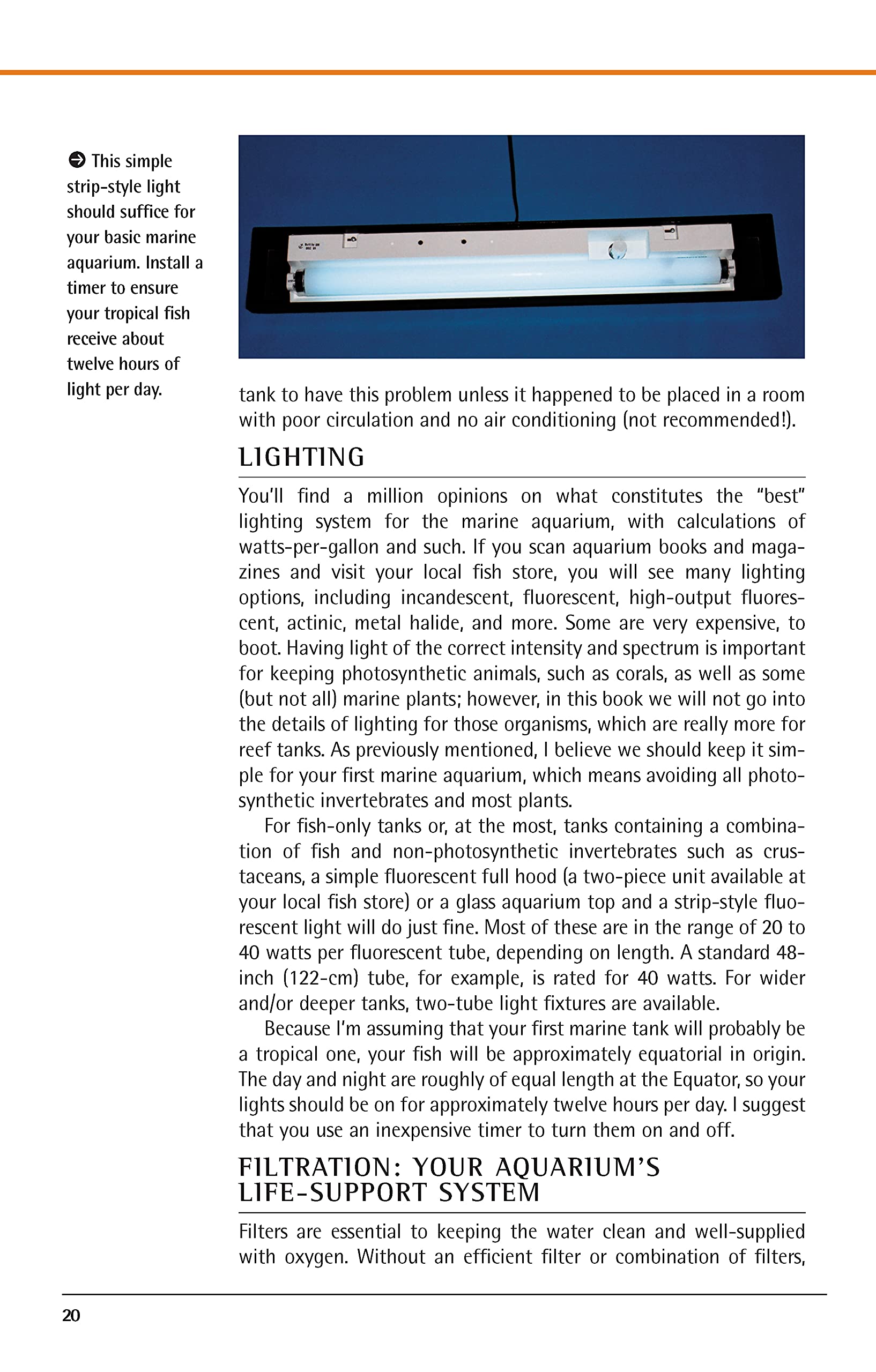 Marine Aquariums: Basic Aquarium Setup And Maintenance