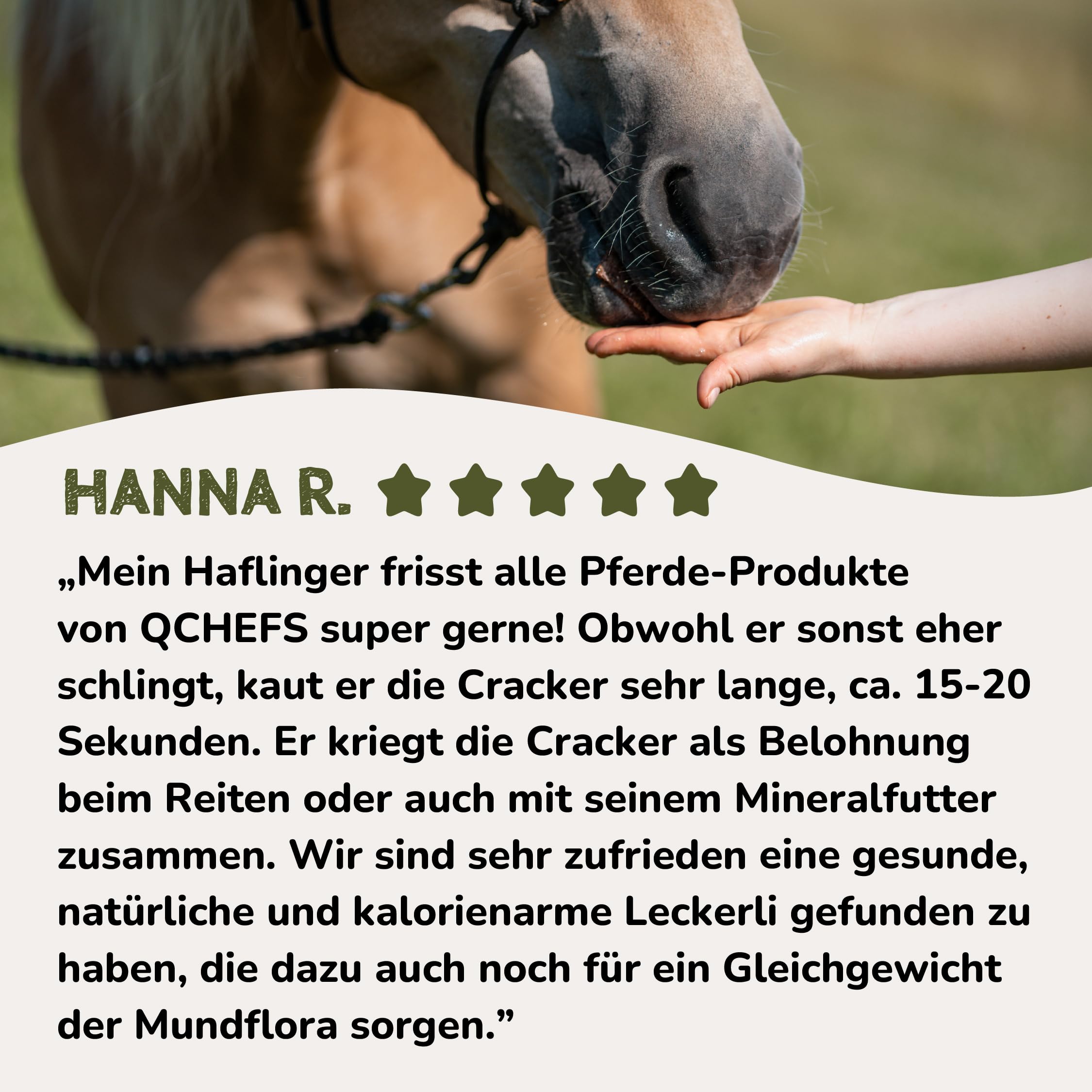 QCHEFS 8er Pack Zahnputz-Cracker Balance Pferd gegen Zahnstein Mundgeruch | Ohne Bürste, Gesunde Leckerlis gegen Zahnstein & Mundgeruch, Tägliche Zahnreinigung