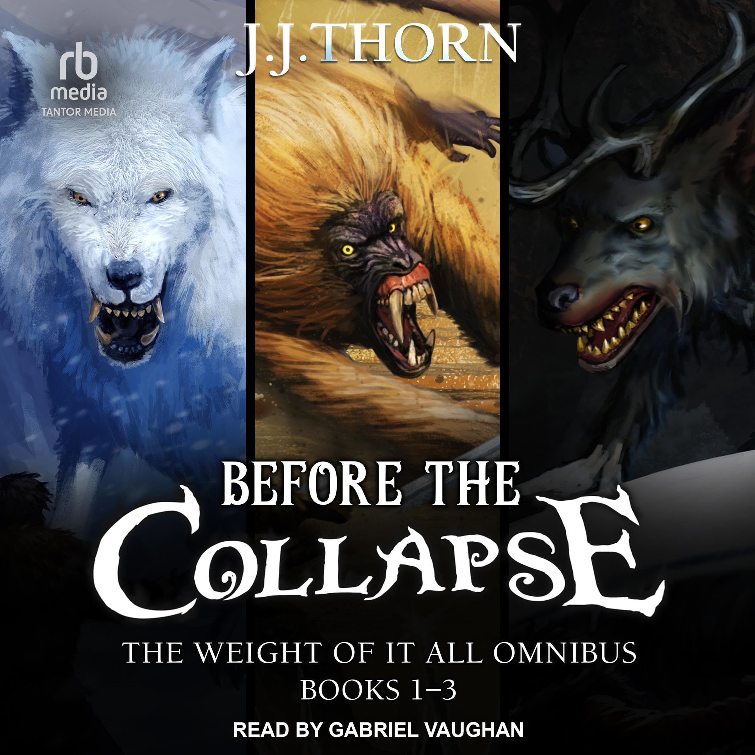 Cover art for Before the Collapse