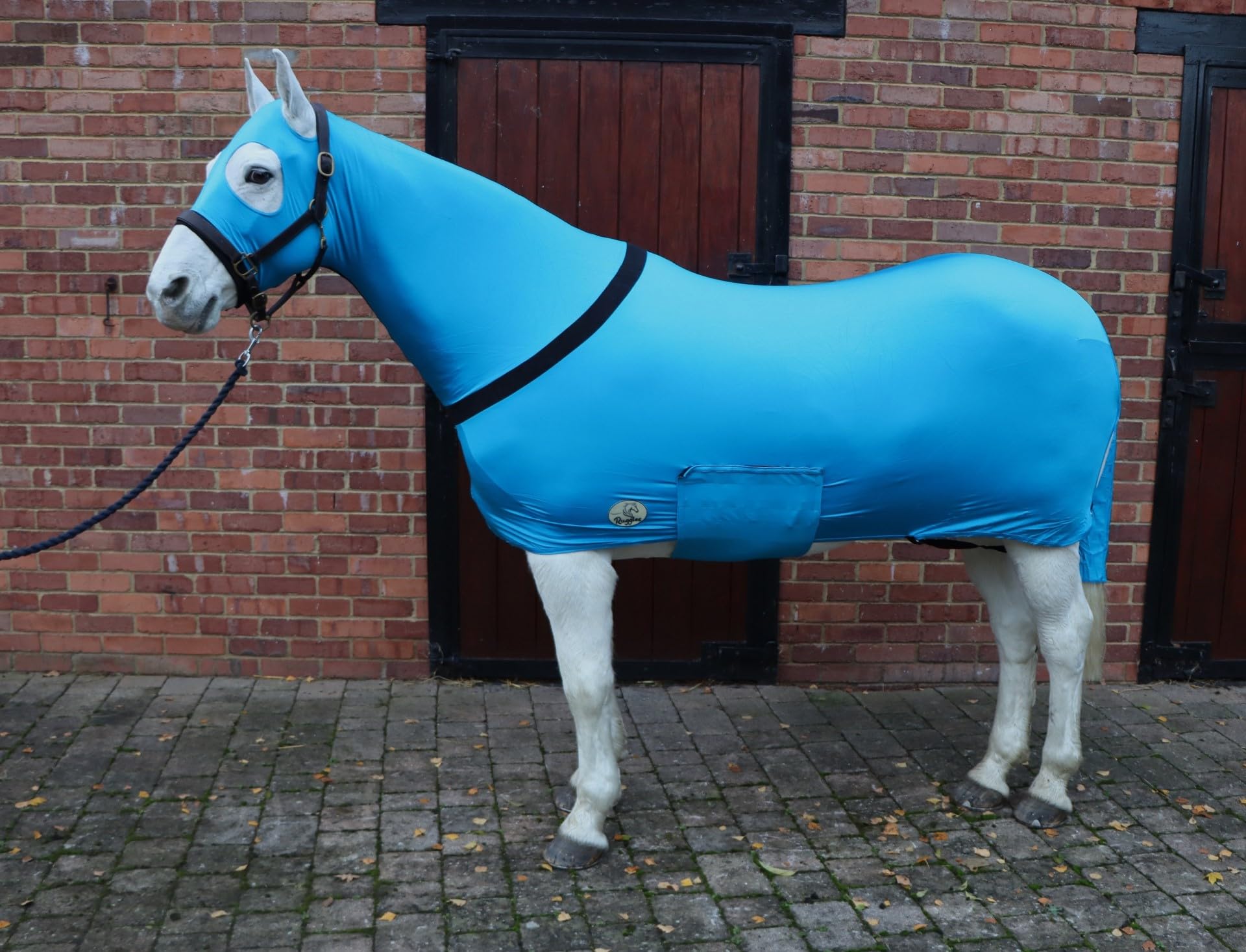 Ruggles Lycra Body Suit for Horse/Pony | Heat Sealed Seams | Detachable Tail Sleeve | Stretch Under Rug | Anti Rub Vest (Medium Without Ears, Aqua)