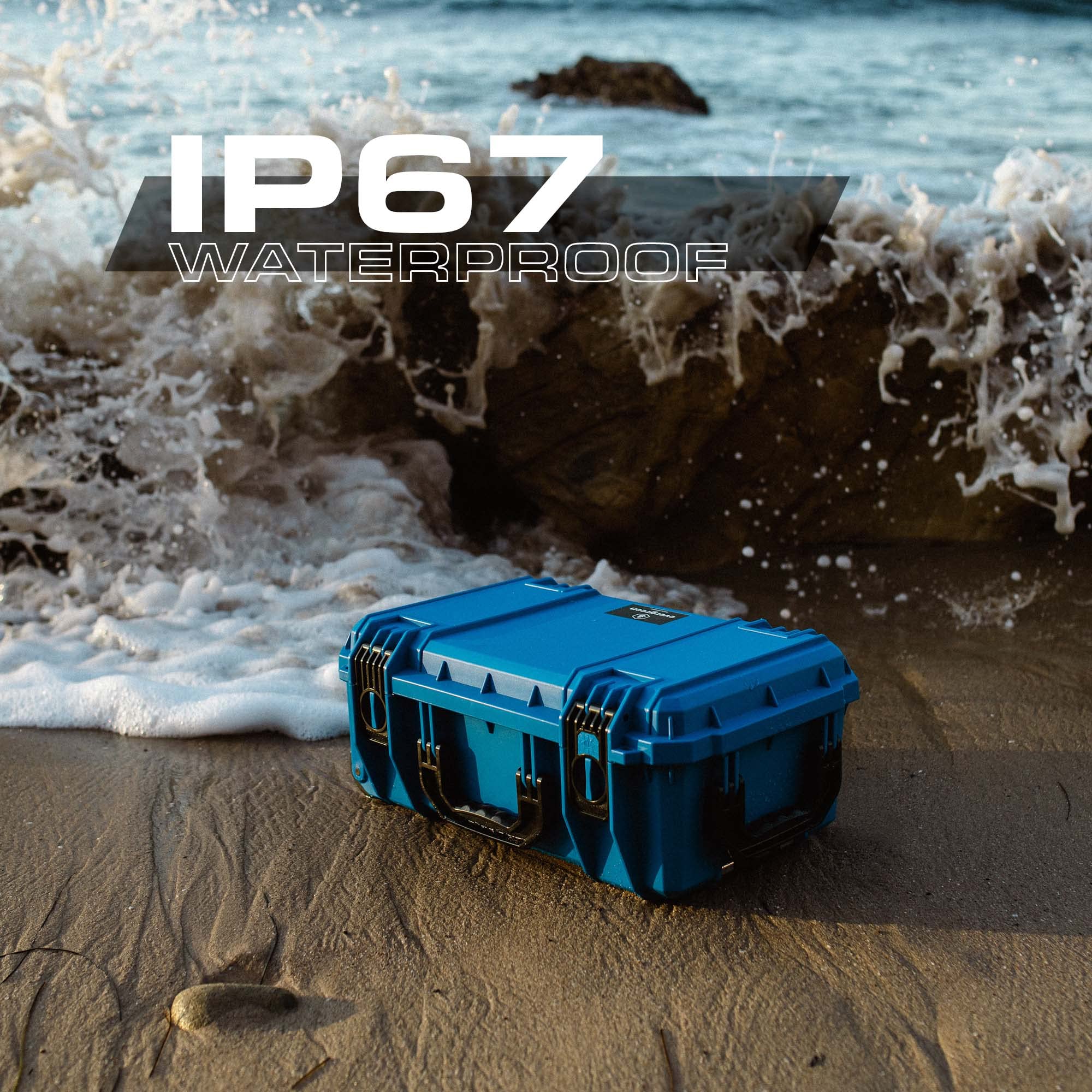 Amazon.co.jp: タツノオトシゴ保護用機器Cases se830 Carry On Case