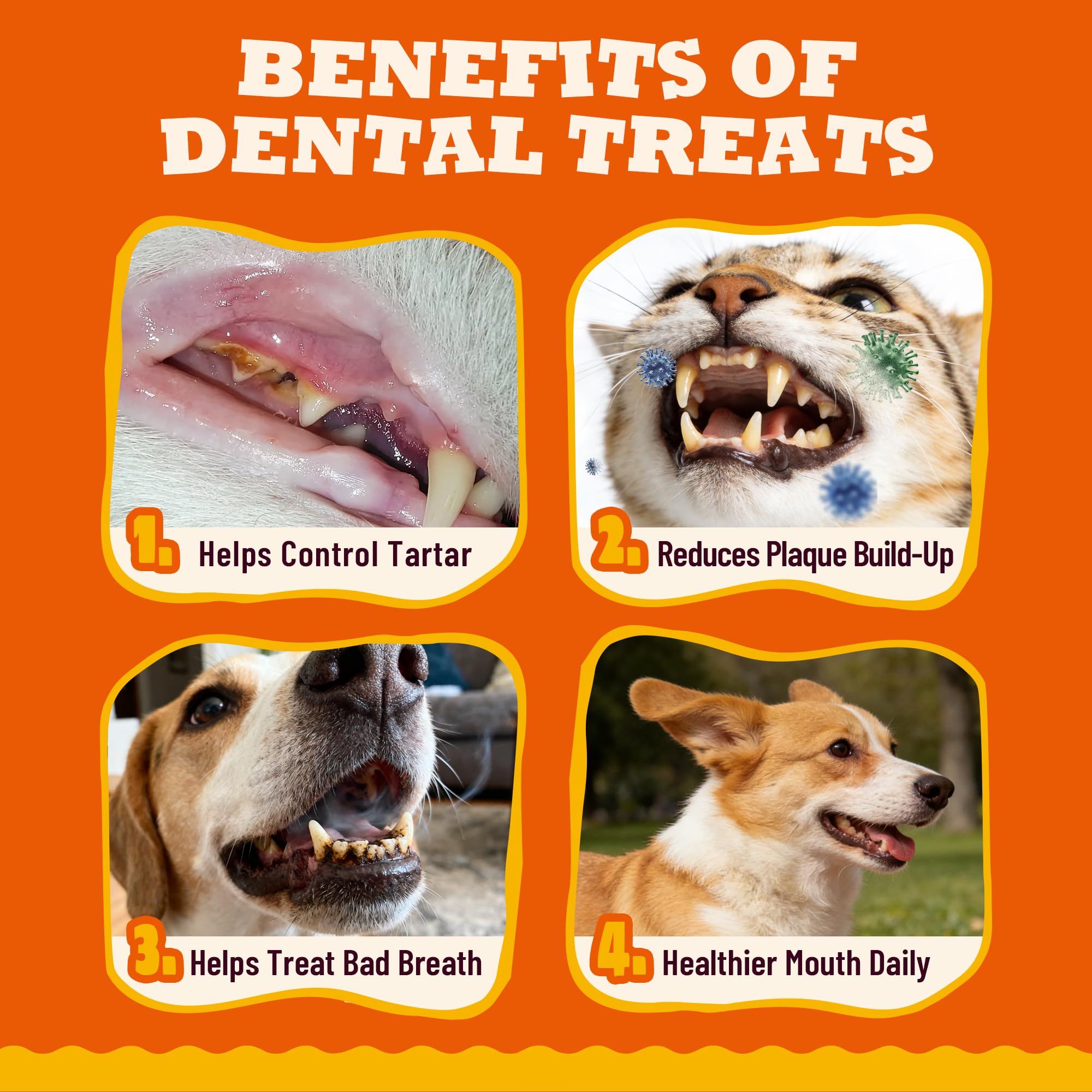 13.05oz Dental Treats for Cats & Small Dogs - Healthy Cat Teeth Cleaning Treats for Freshens Breath and Controls Tartar - Crunchy Dental Chews for Puppy Training Snacks - image 4