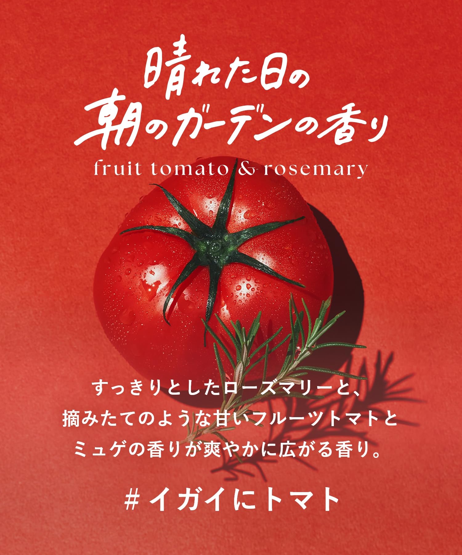 Amazon | [季節限定] BOTANIST ボタニスト シャンプー トリートメント